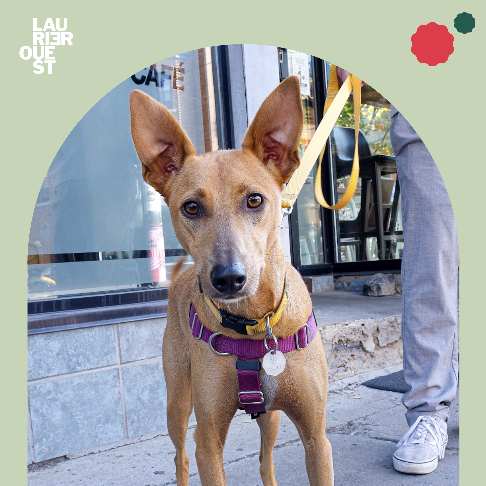 Plan de travail 2.png