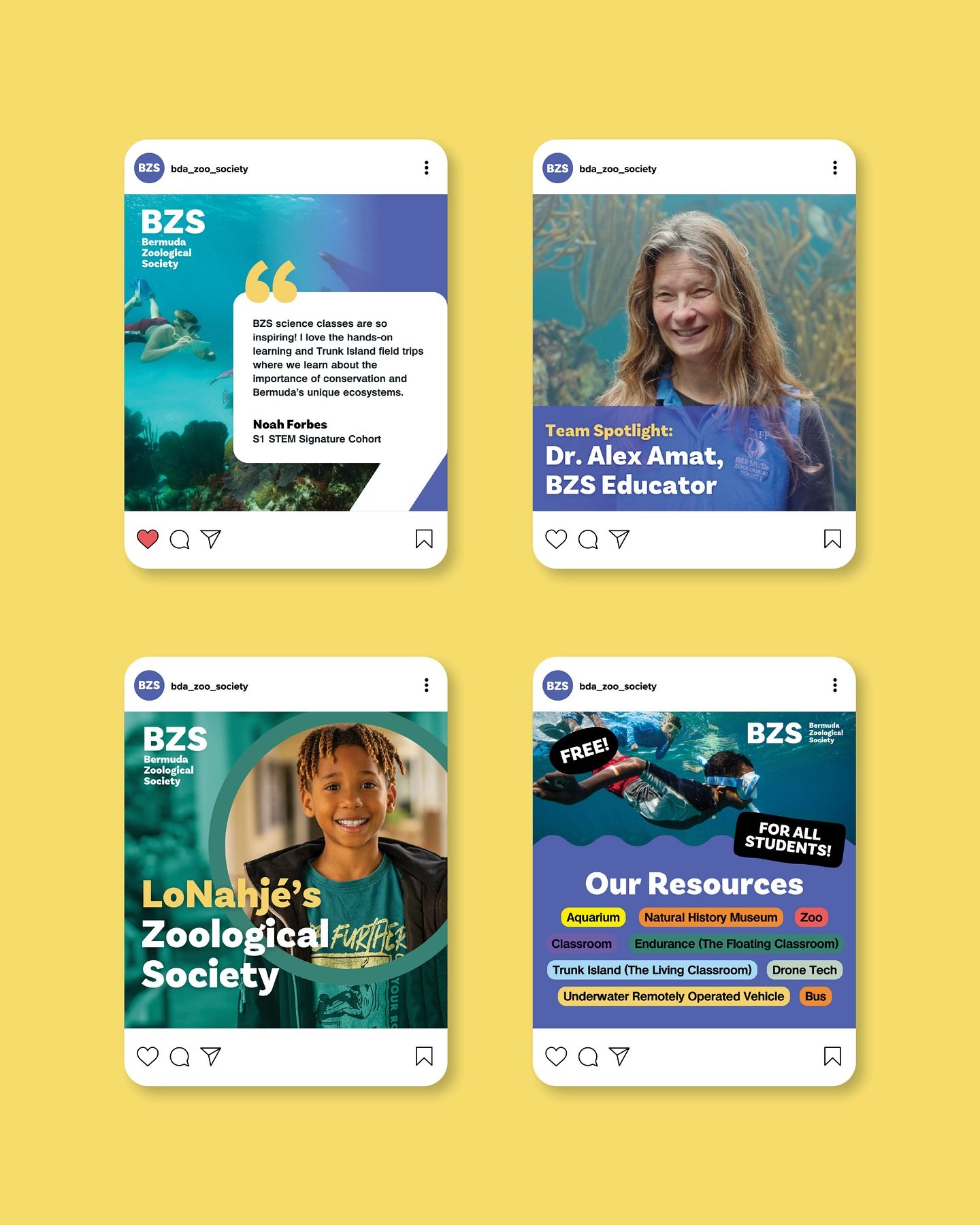 Crafting visuals that connect. Examples of social media content we created for @bda_zoo_society &mdash; bringing their impactful work to life online.