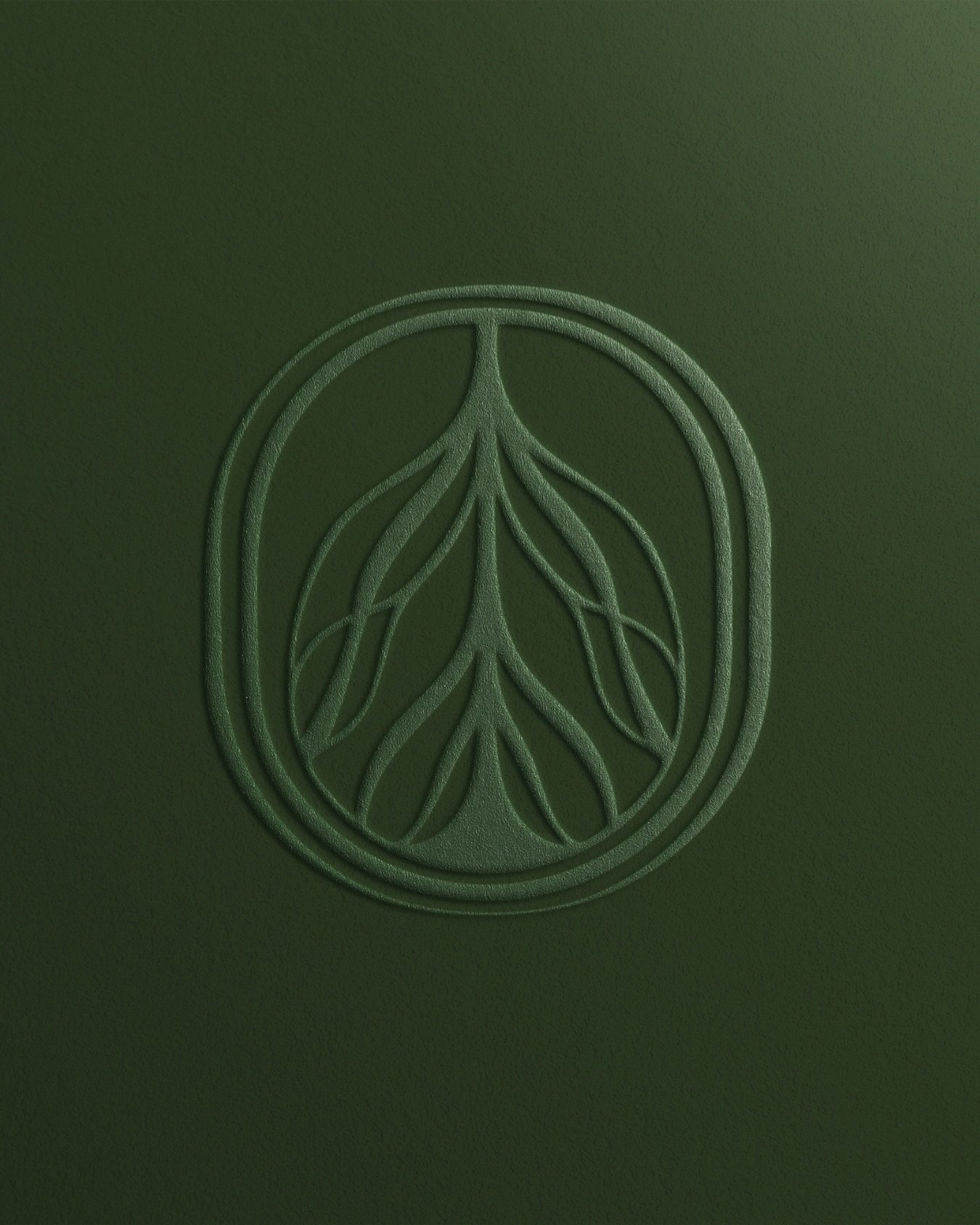 Inspired by Bermuda&rsquo;s mangroves, a natural symbol of resilience.

The @bedrock.bm mark draws from the intricate root systems that anchor and protect Bermuda&rsquo;s coastline, translating this into a form that feels both structured and organic.