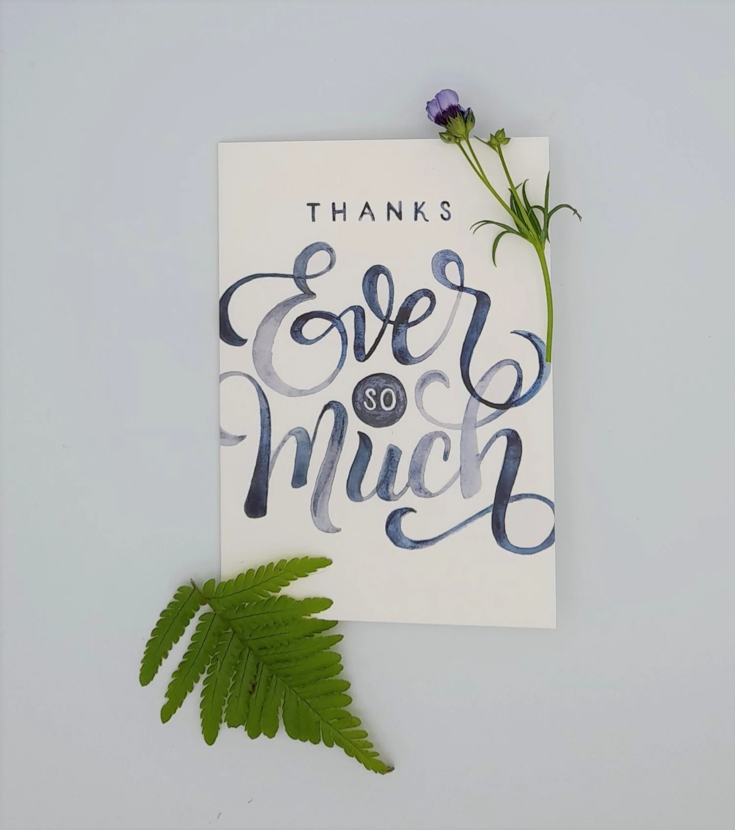 Thanks ever so much Card