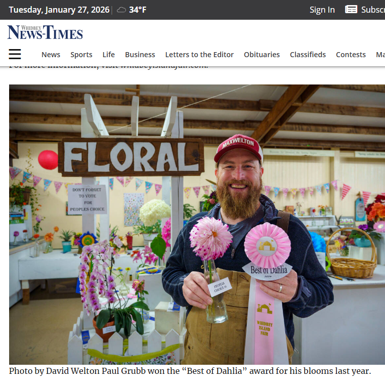 Dahlias are highly prized in the Pacific Northwest and Paul wins best of show at the Whidbey Island Fair.