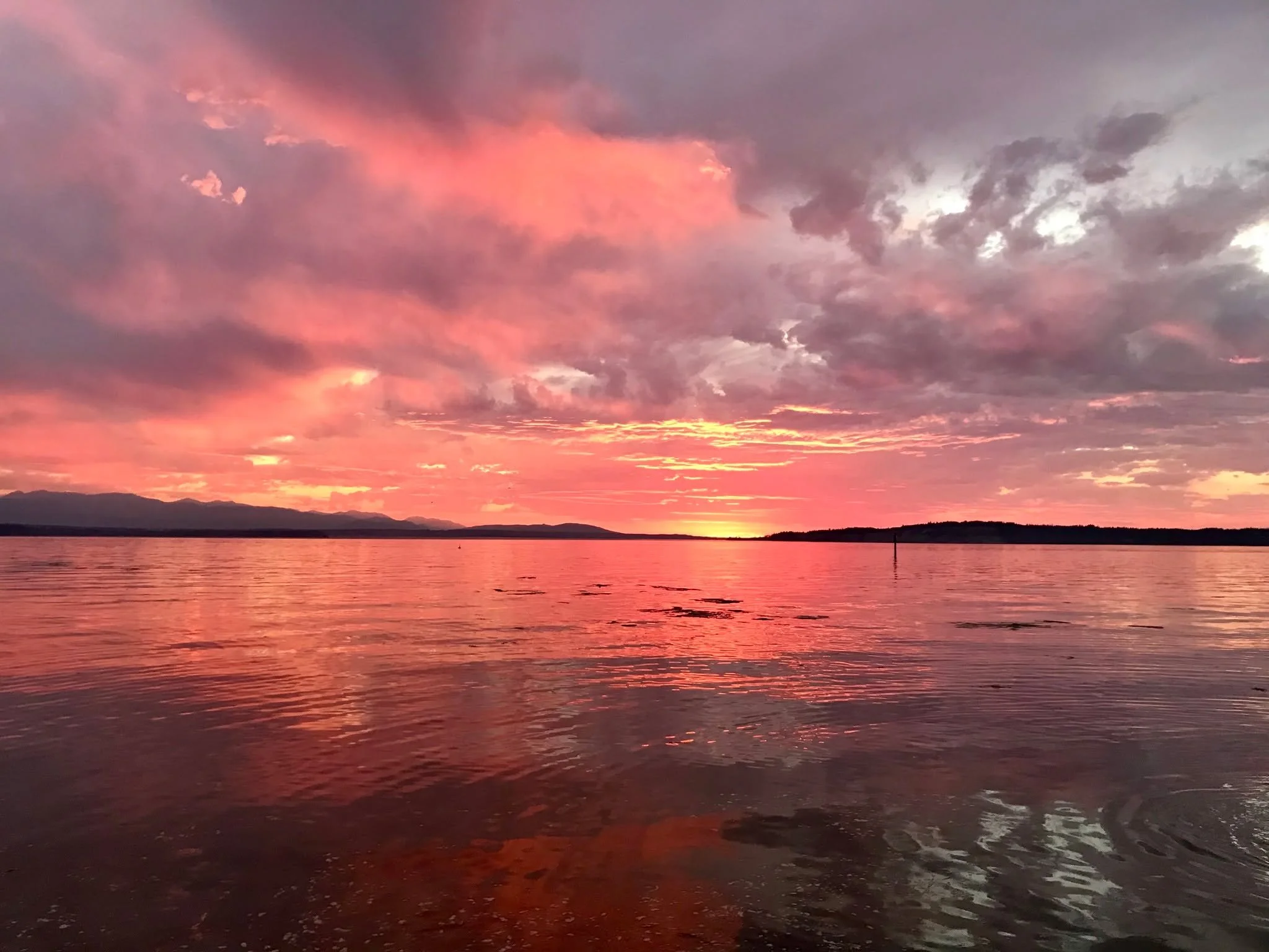 Just 1.2 miles down the road from Cascadia Meadows.  Maxwelton Beach at sunset with the Olympic Mountains putting on a show. This is the island your wedding could call home. We can't wait to celebrate your story!

#cascadiameadows #whidbeyweddingvenu