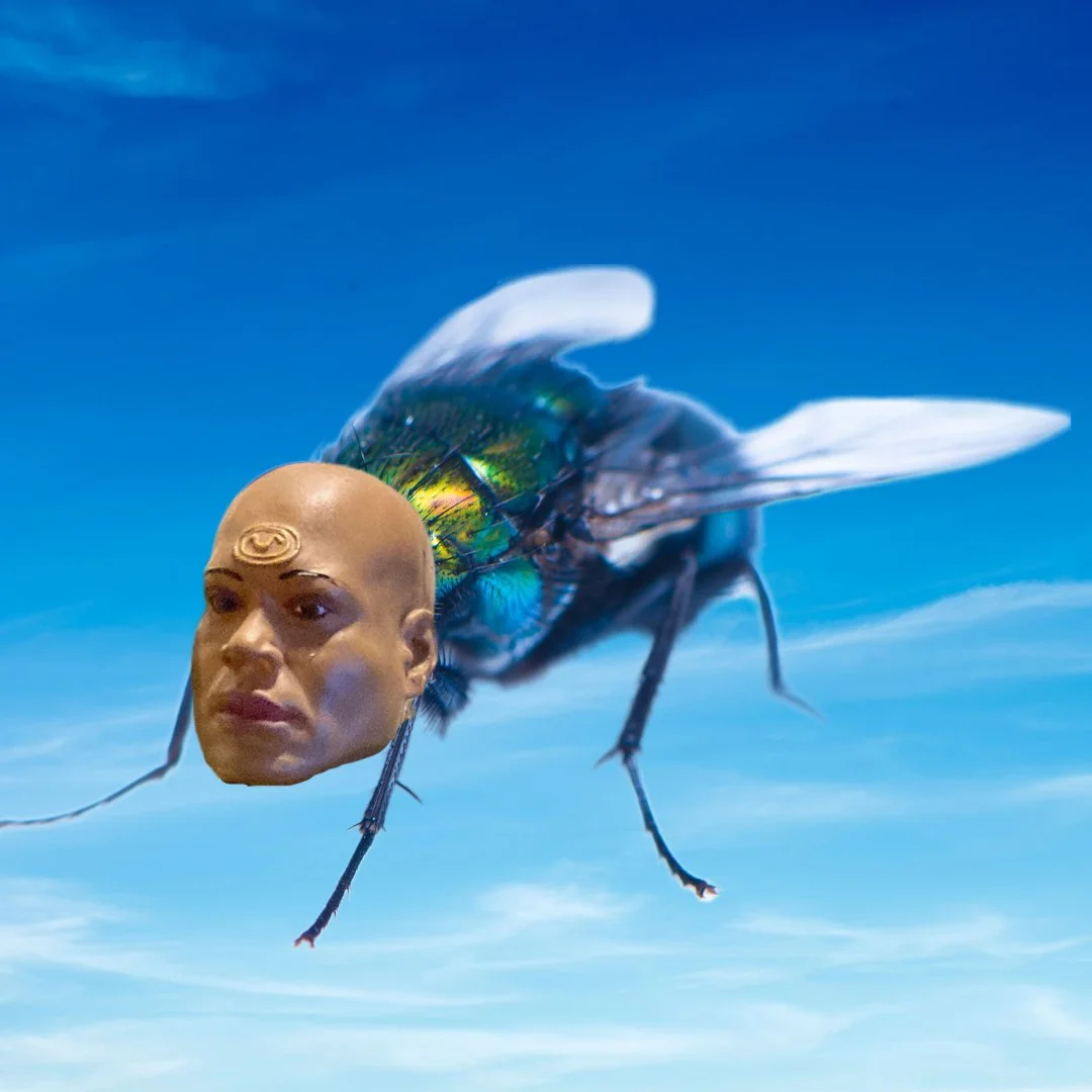 SG1 2-10: Bane a.k.a. The Fly a.k.a I Hate Bugs
