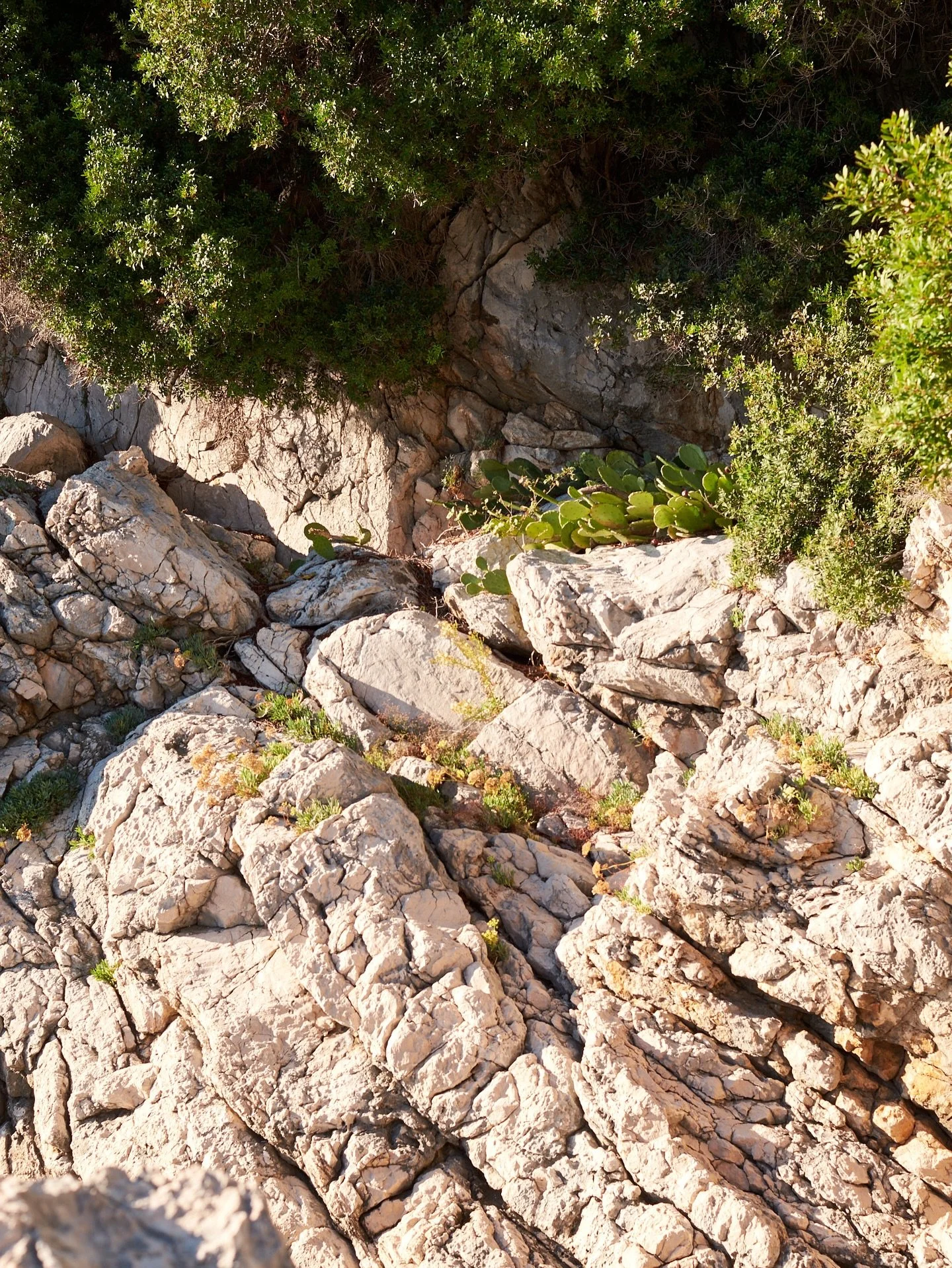 Postcards from Croatia 🇭🇷 

Had the best time at @sun_gardens_dubrovnik again with @campioniacademy ☀️⚽️