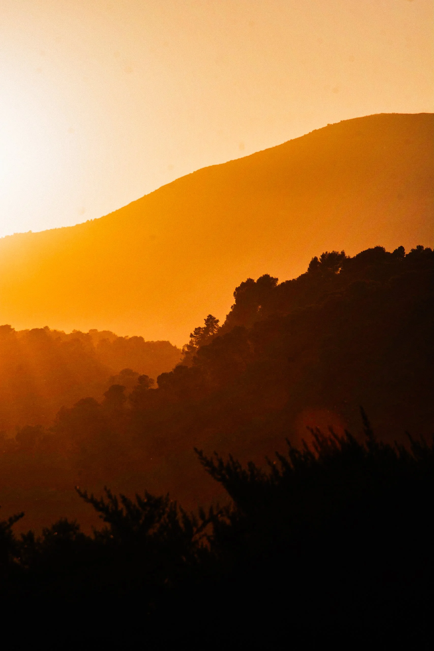 GDL_7786-Edit-2.jpg