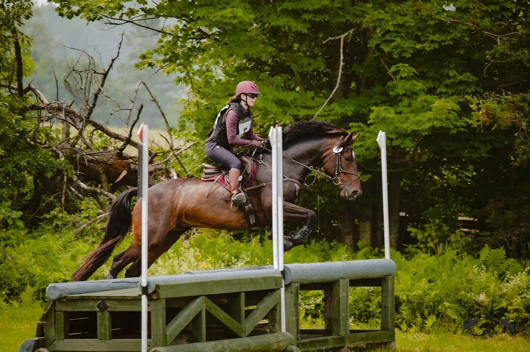 WINNER congratulations to Elizabeth @brouss.can.eventing We are delighted our studs keep you safe.  An Easy Kit will be heading Canada! 

Sorry, we were a little late announcing this one!  We thought it had been posted already!! Will we do another co