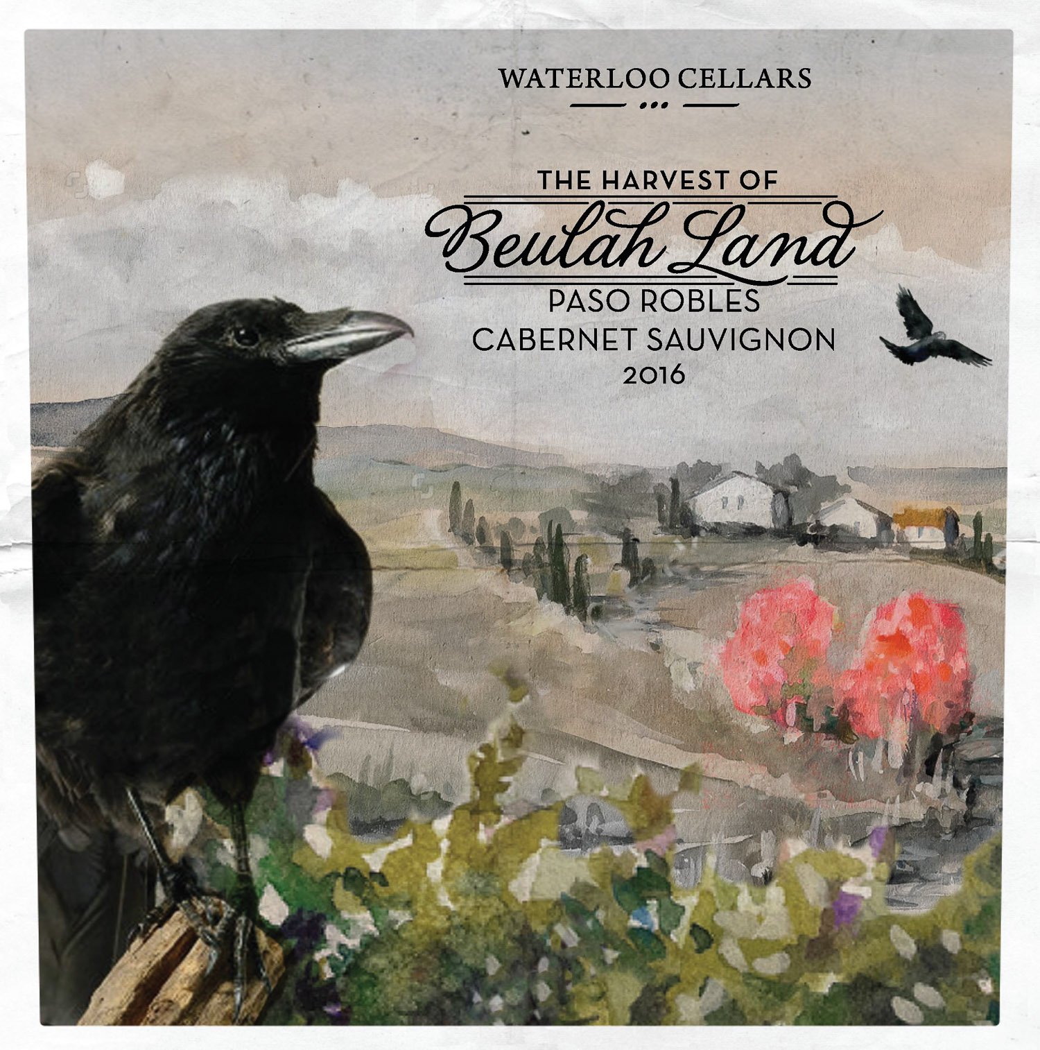 2016 Cabernet Sauvignon front label