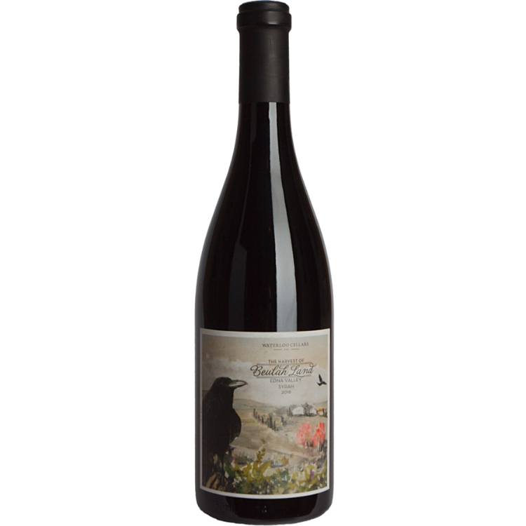 bottle of 2016 Syrah