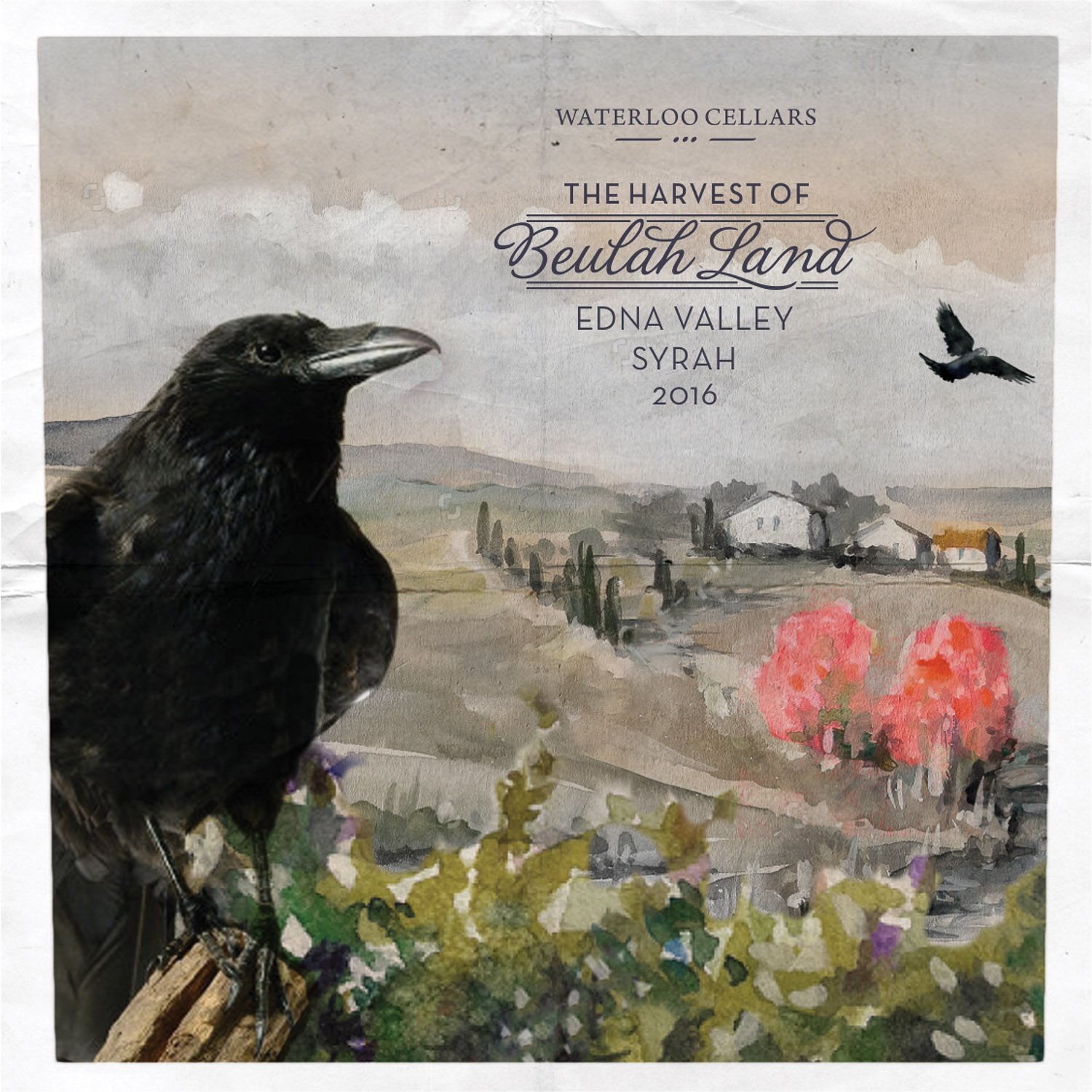 2016 Syrah front label