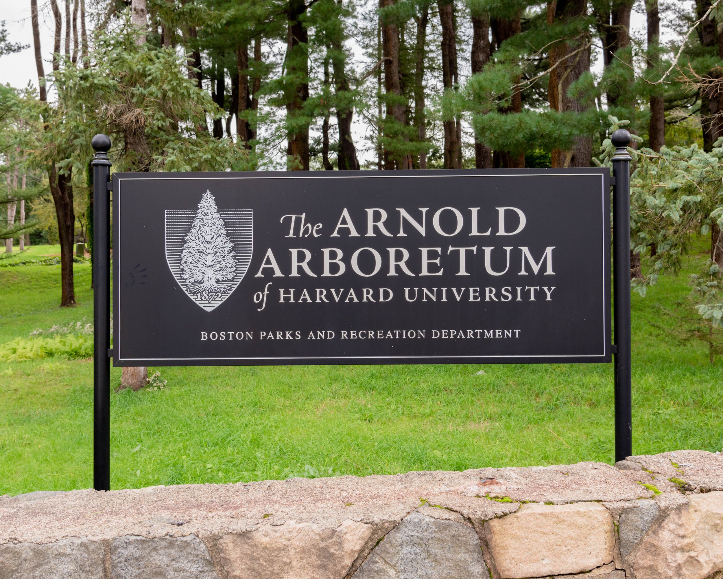 Arnold Arboretum.jpg