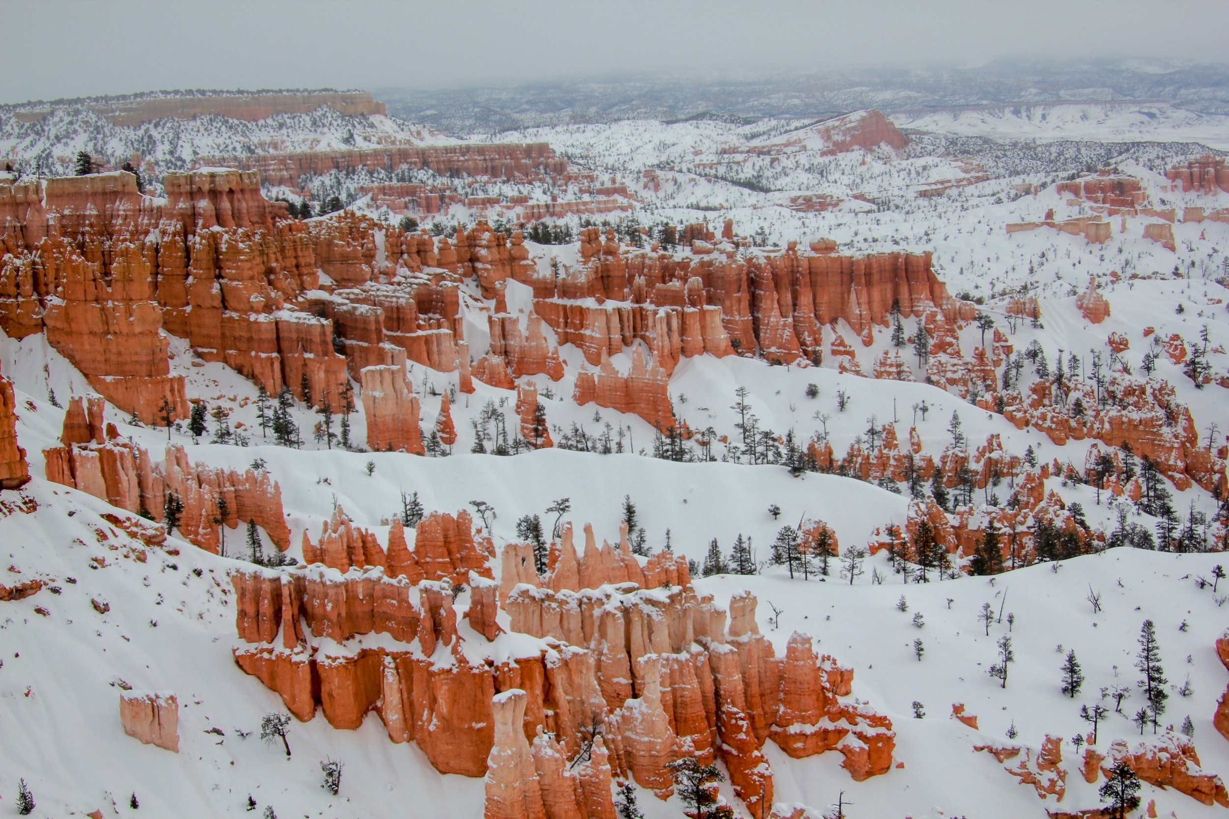 image_bryce.jpg
