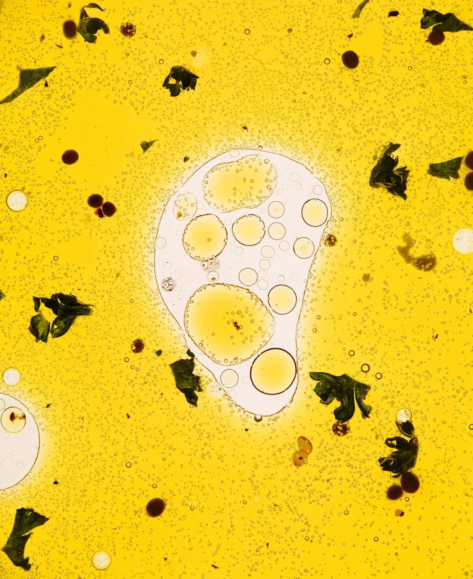 Olive Oil Separating.jpg