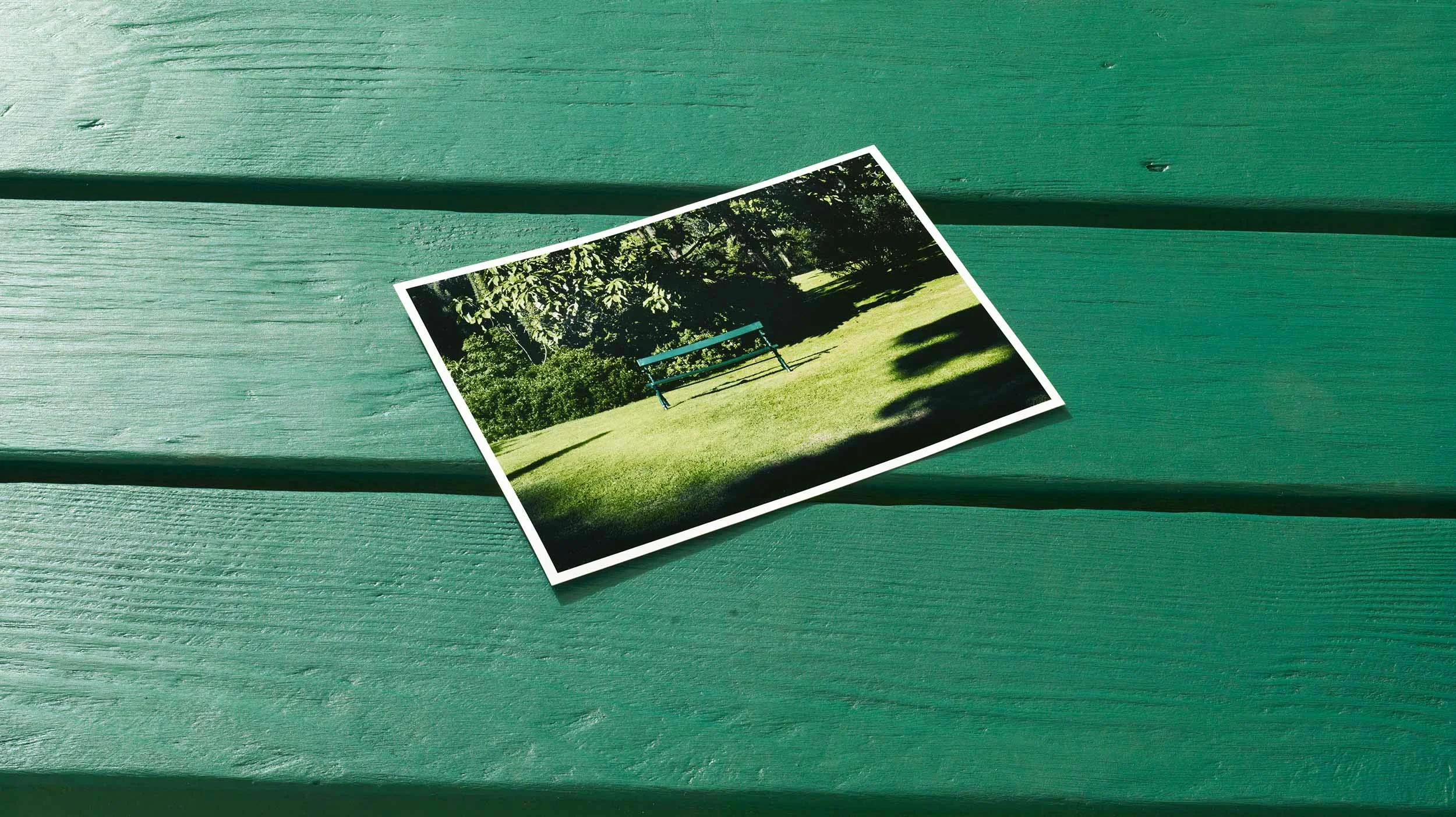 Park Bench Close Up.jpg