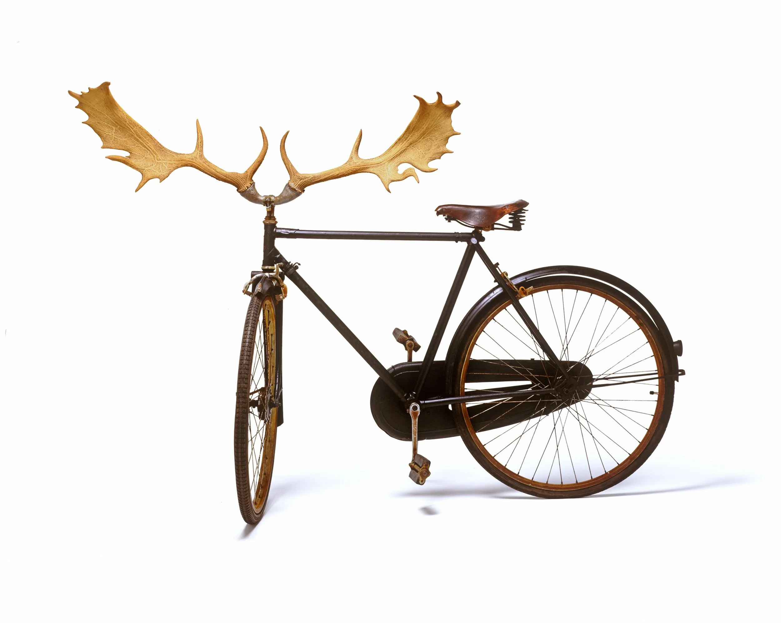 Bike With Antlers.jpg