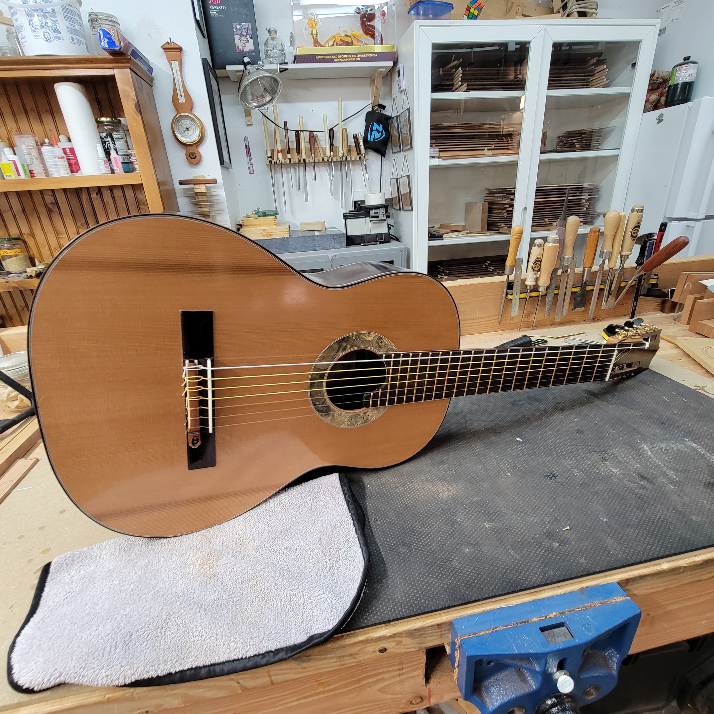 Custom 7-string w/ Bass Rider.
