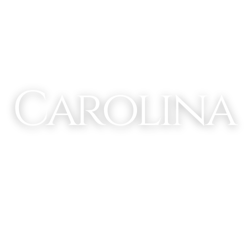 Carolina Furniture &amp; Interiors 