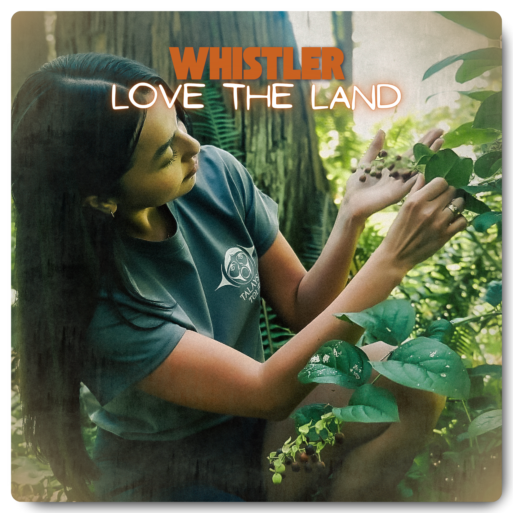 Love the Land