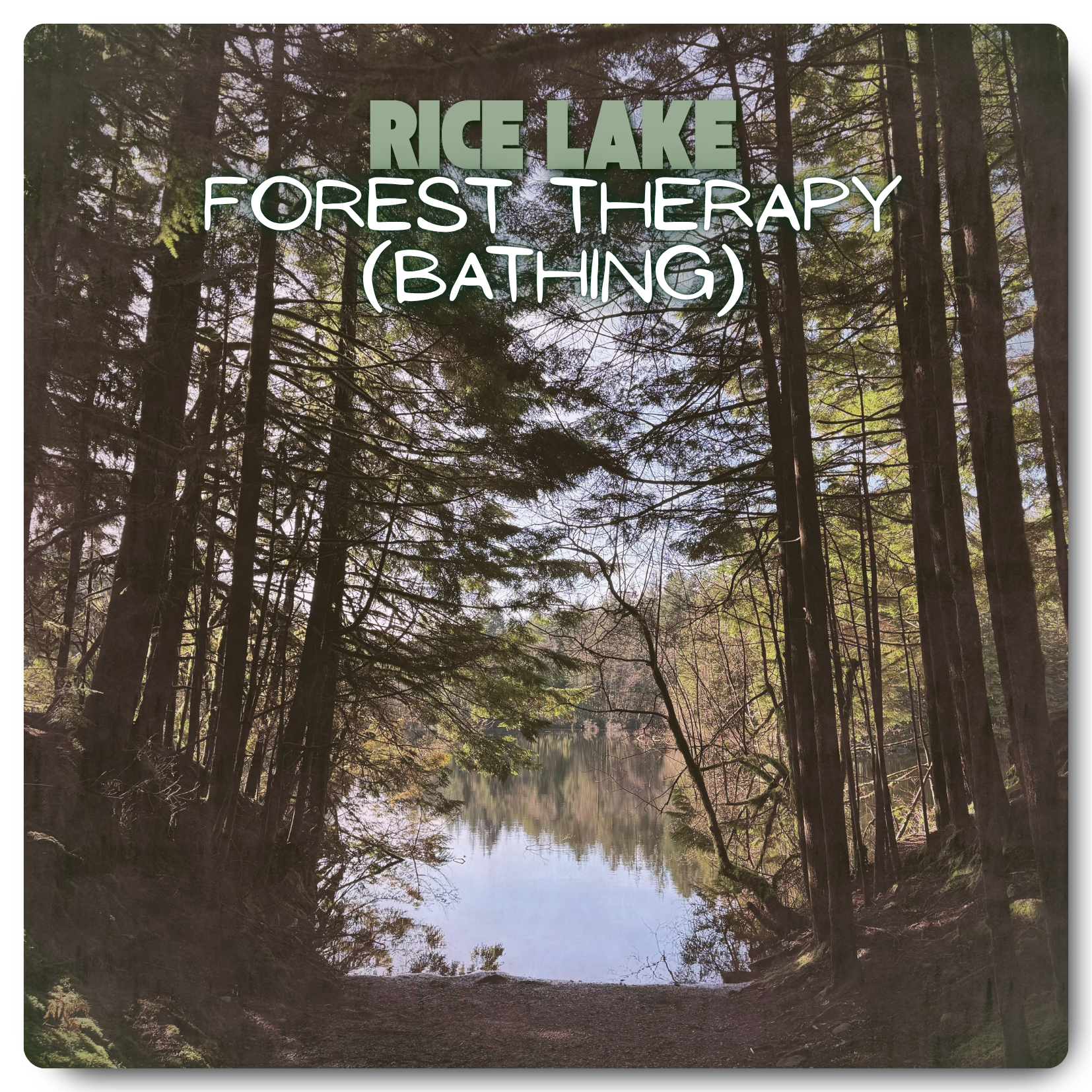 Forest Therapy (Bathing)