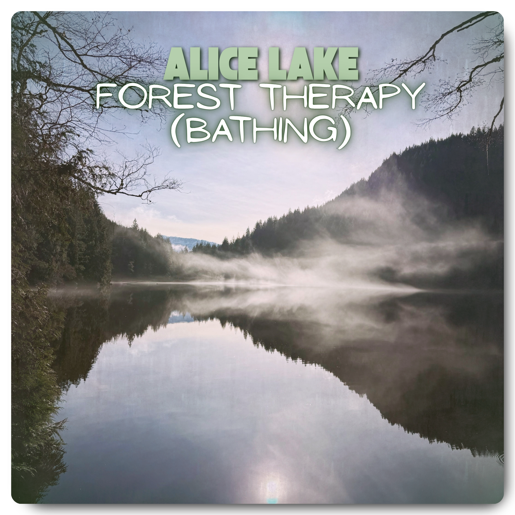 Forest Therapy (Bathing)