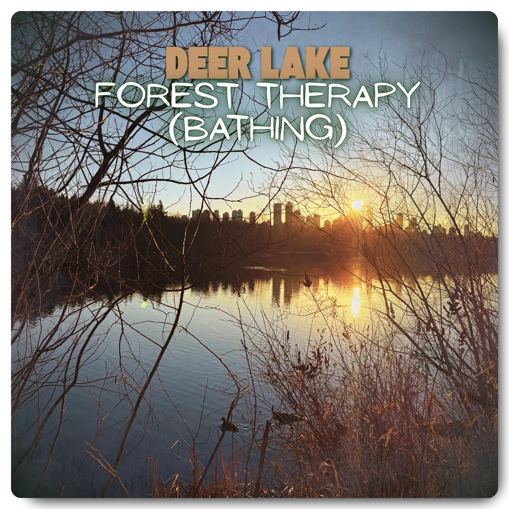 Forest Therapy (Bathing)