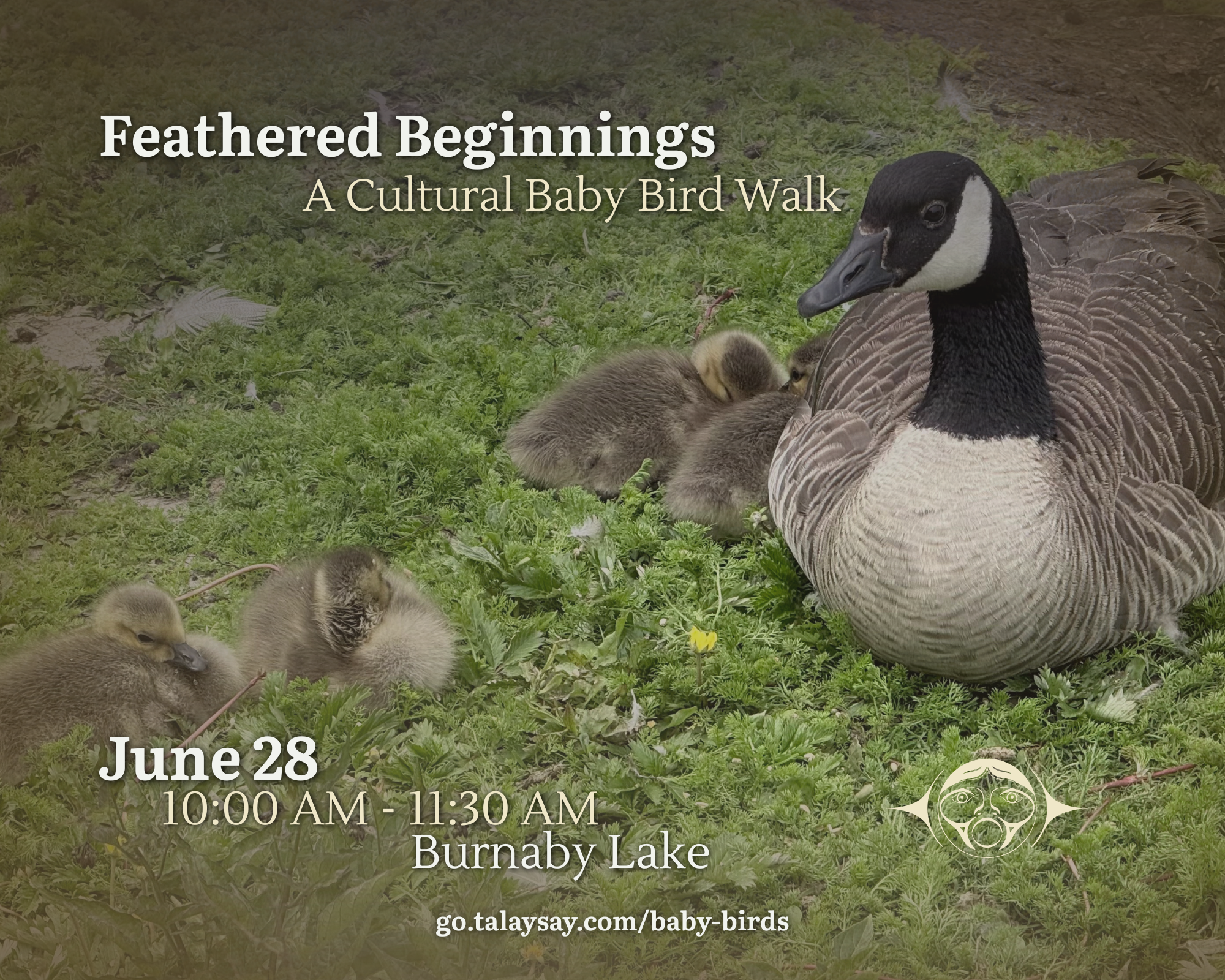 Feathered Beginnings