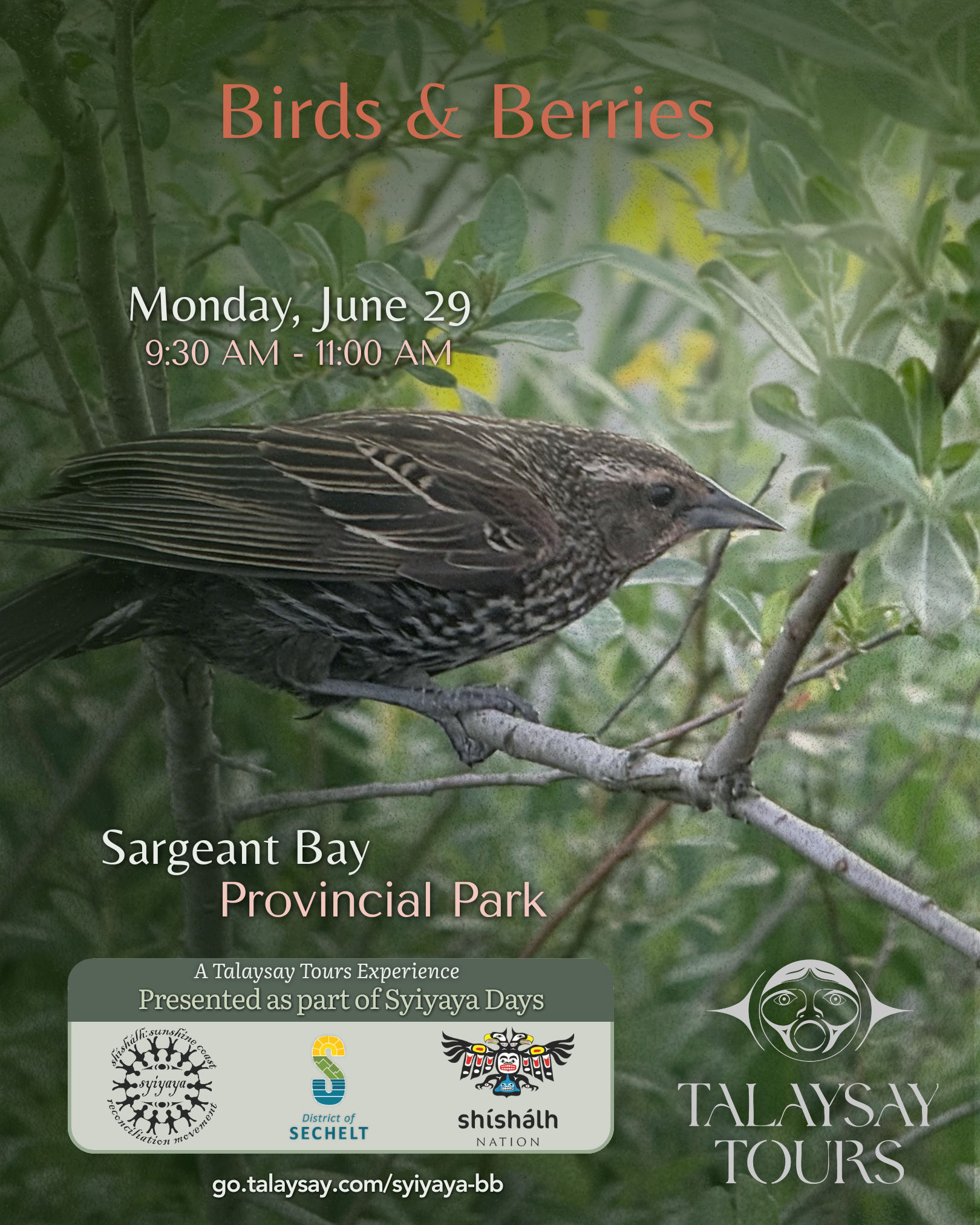 Syiyaya Days: Birds &amp; Berries