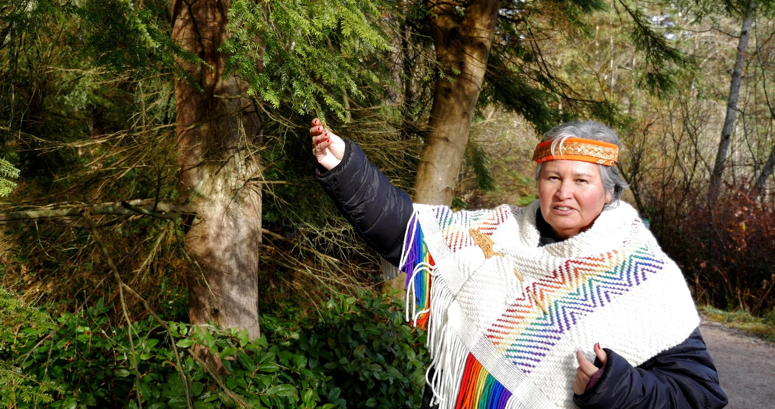 An older woman wearing a colorful, patterned shawl and orange headband standing outdoors among trees, touching a branch of a pine tree.