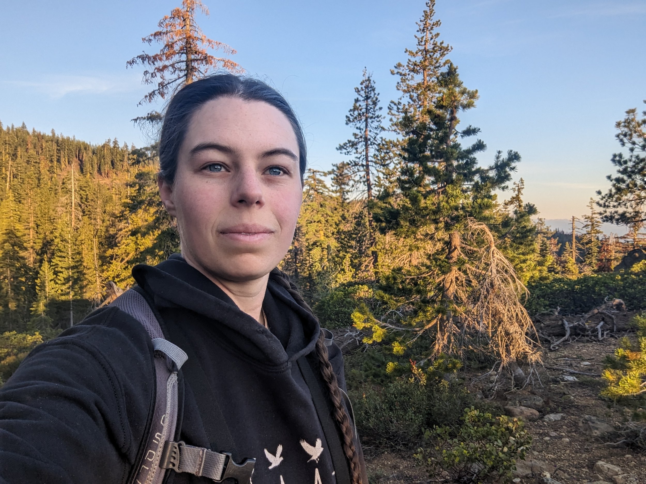 A large group of ducks, mostly male mallards with green heads, on a wet paved surface near a river, with some ducks standing on a wooden bridge in the background, and trees and cloudy sky in the distance.