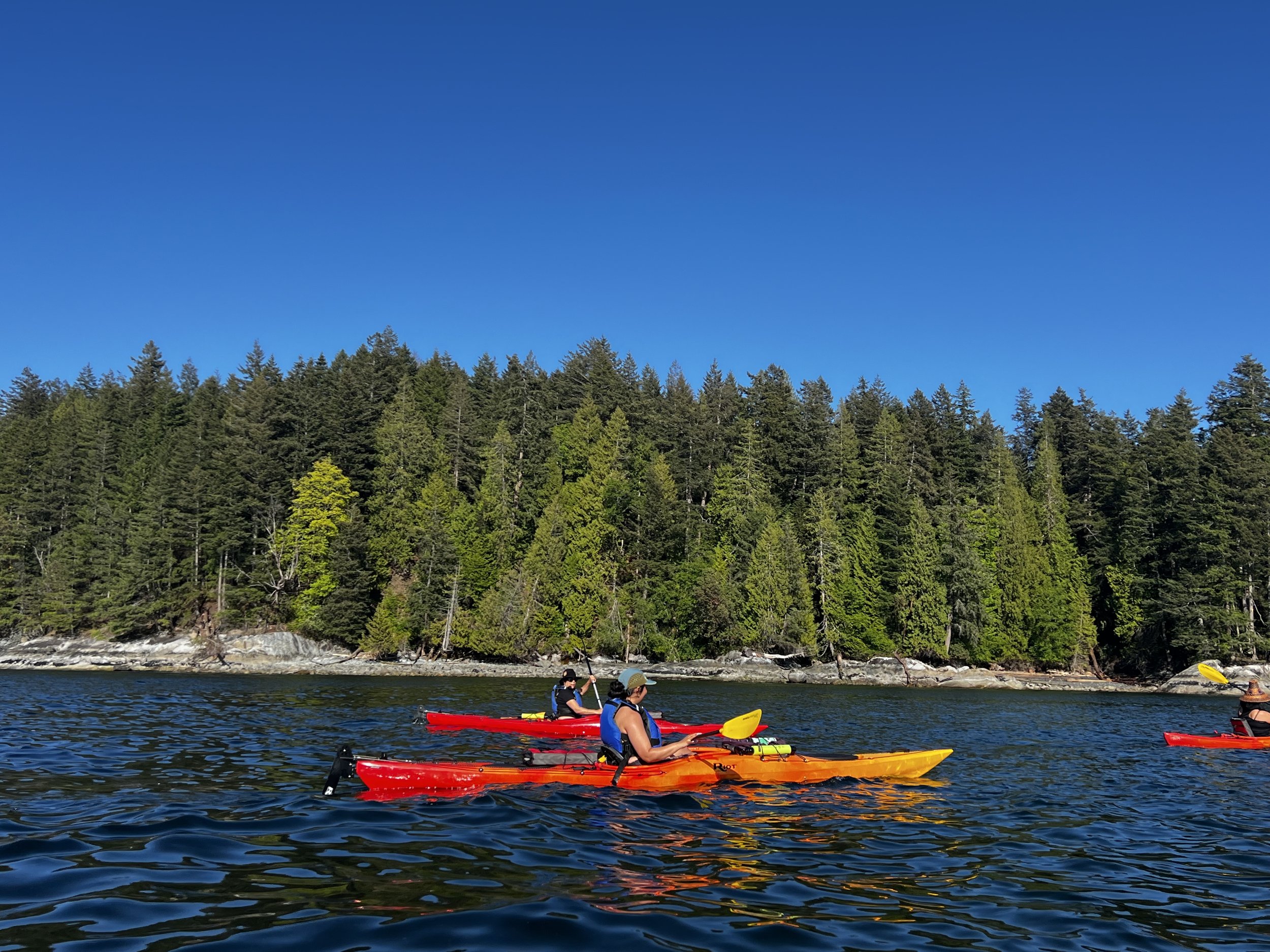 People kayaking on a lake with a forested shoreline and a clear blue sky.