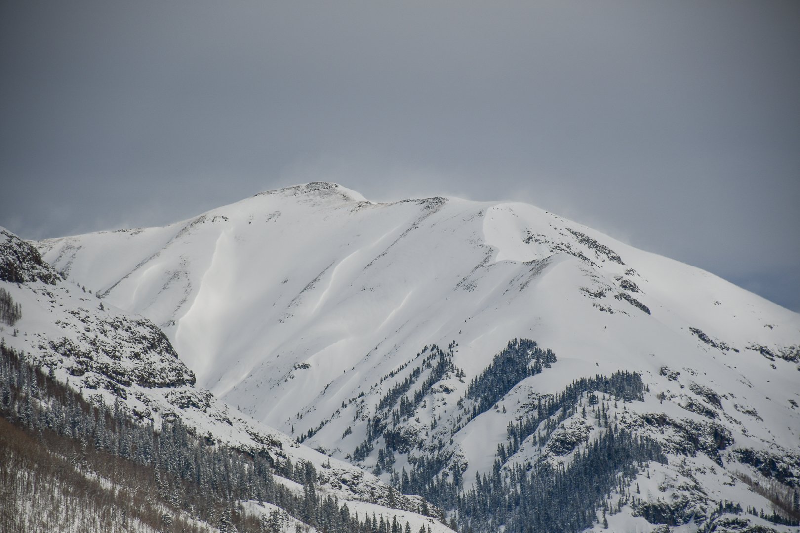 SRM_5693.jpg