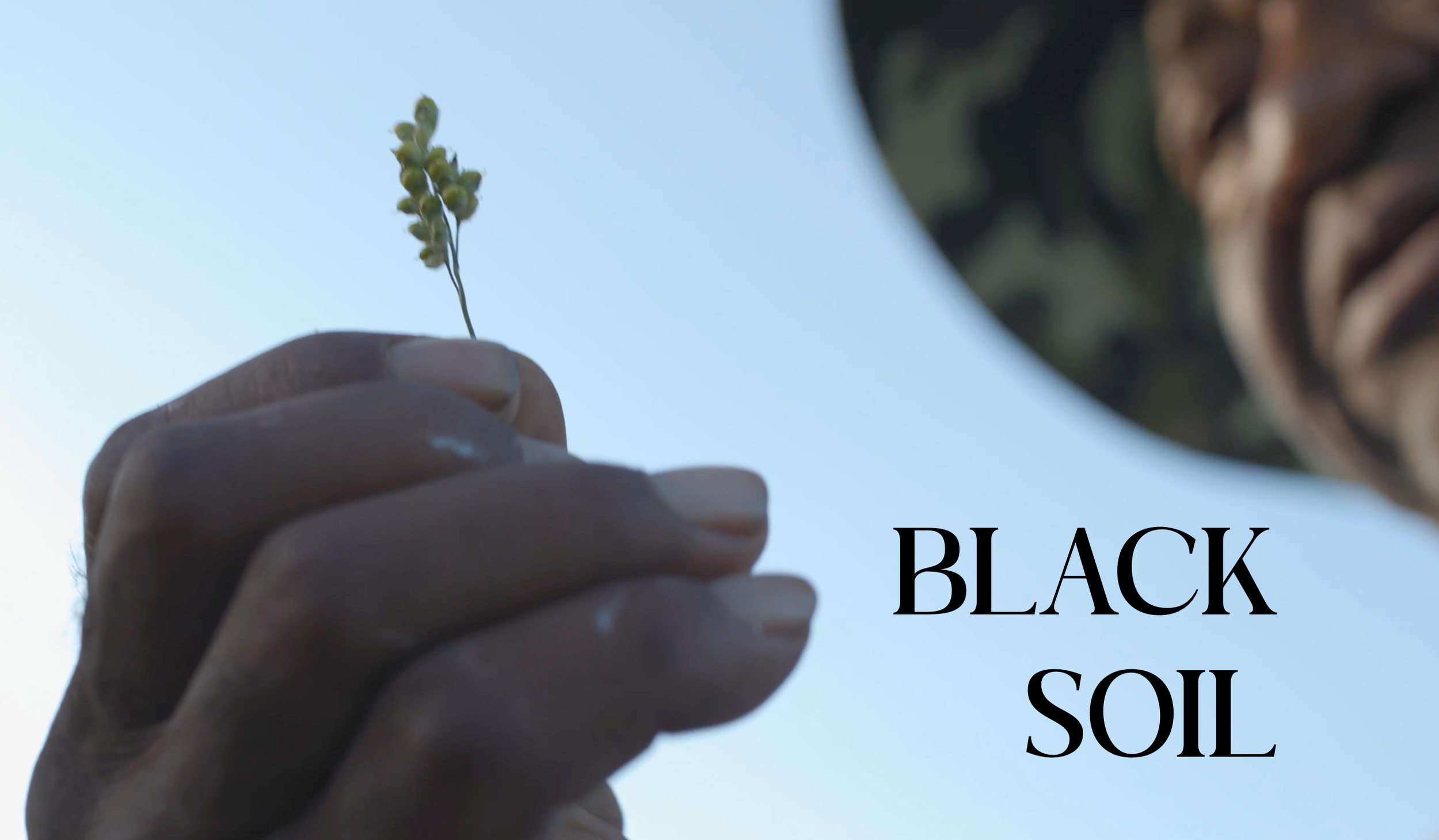BLACK SOIL