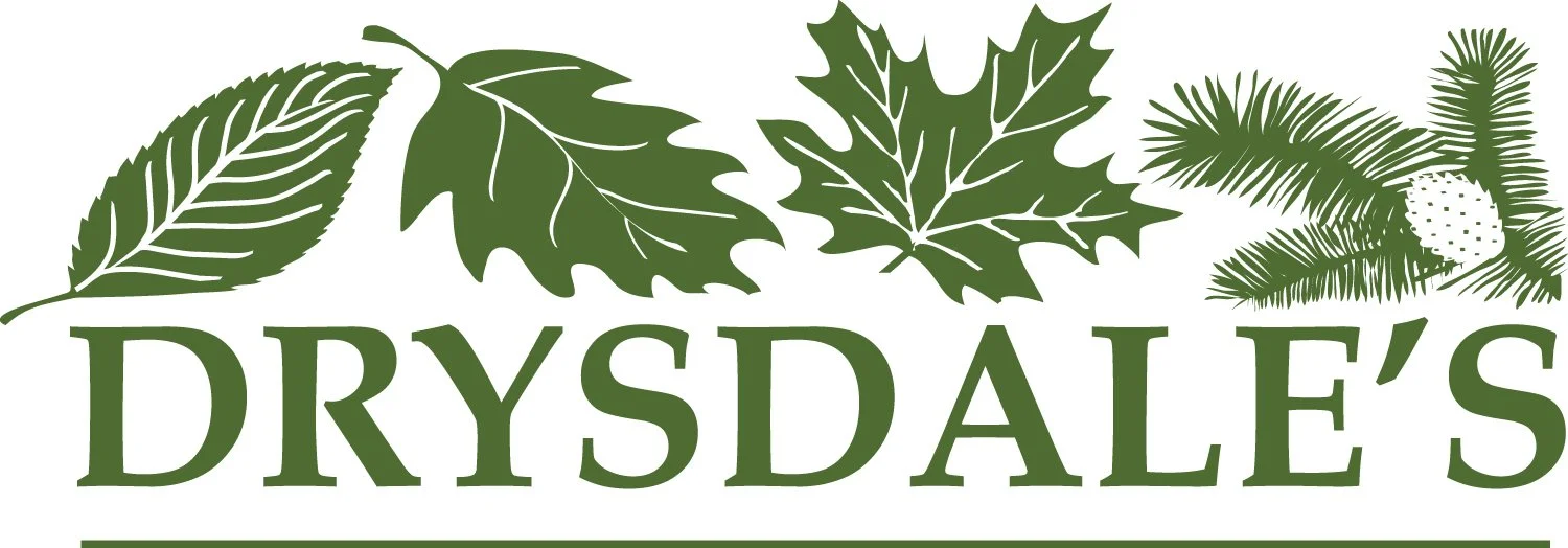 Drysdales Logo NEW.jpg
