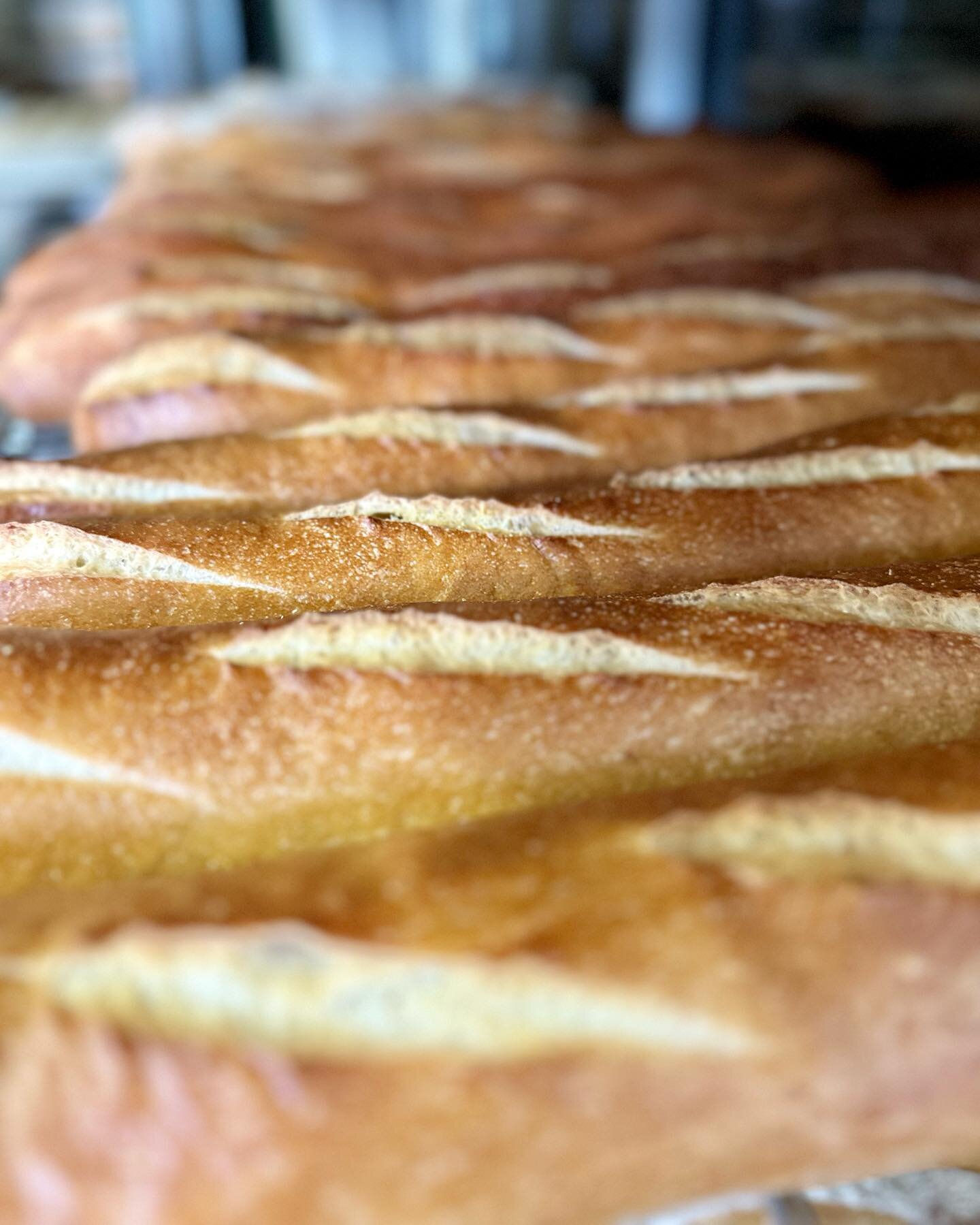 Waves of baguette 🌊

#oldschoolbakery