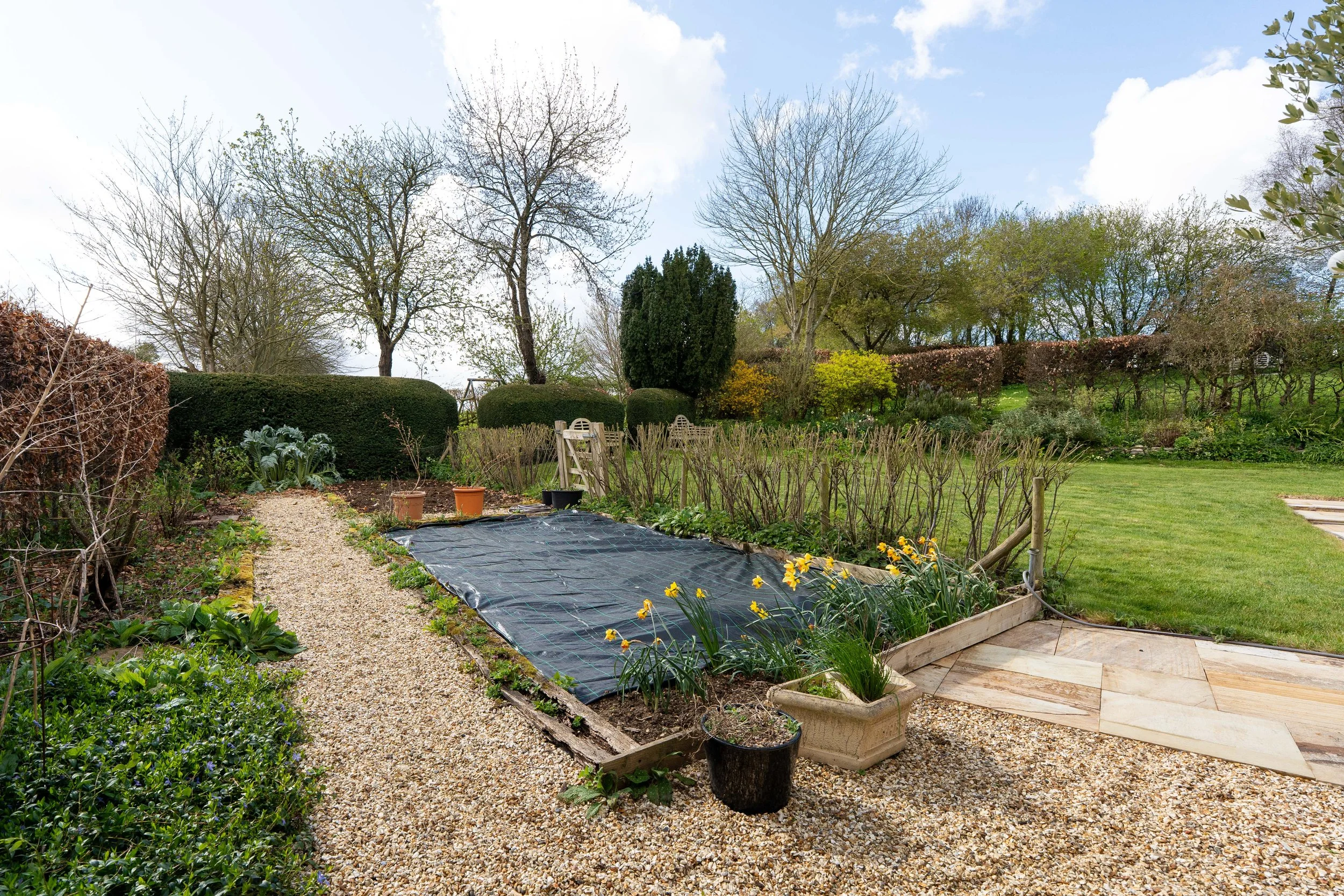 The Vineyard-03365.jpg