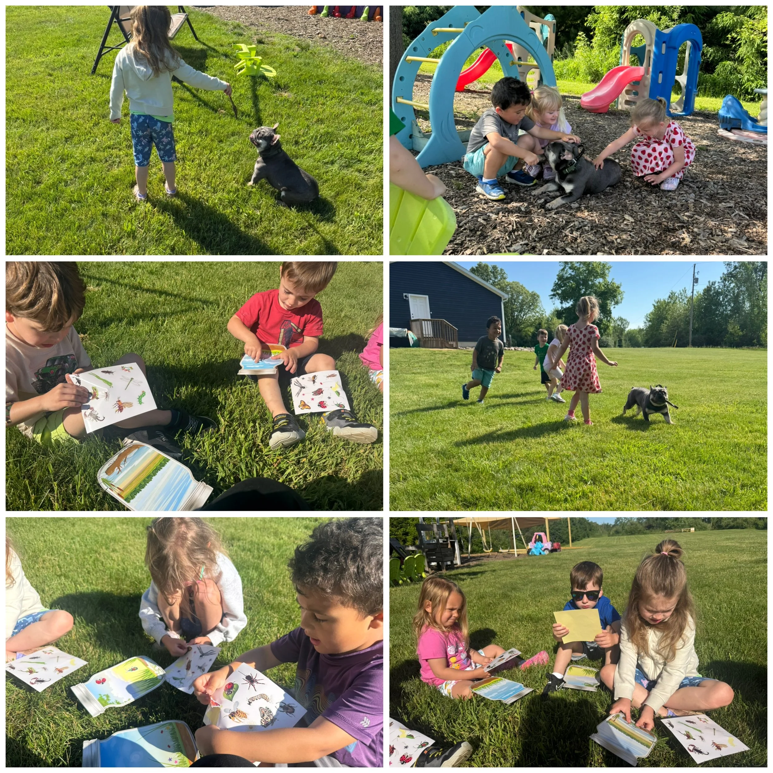 Children and a dog at an outdoor playground and picnic area on a sunny day. Some children are sitting on the grass looking at books or flashcards, while others are playing near playground equipment and a woman is walking a dog in the background.
