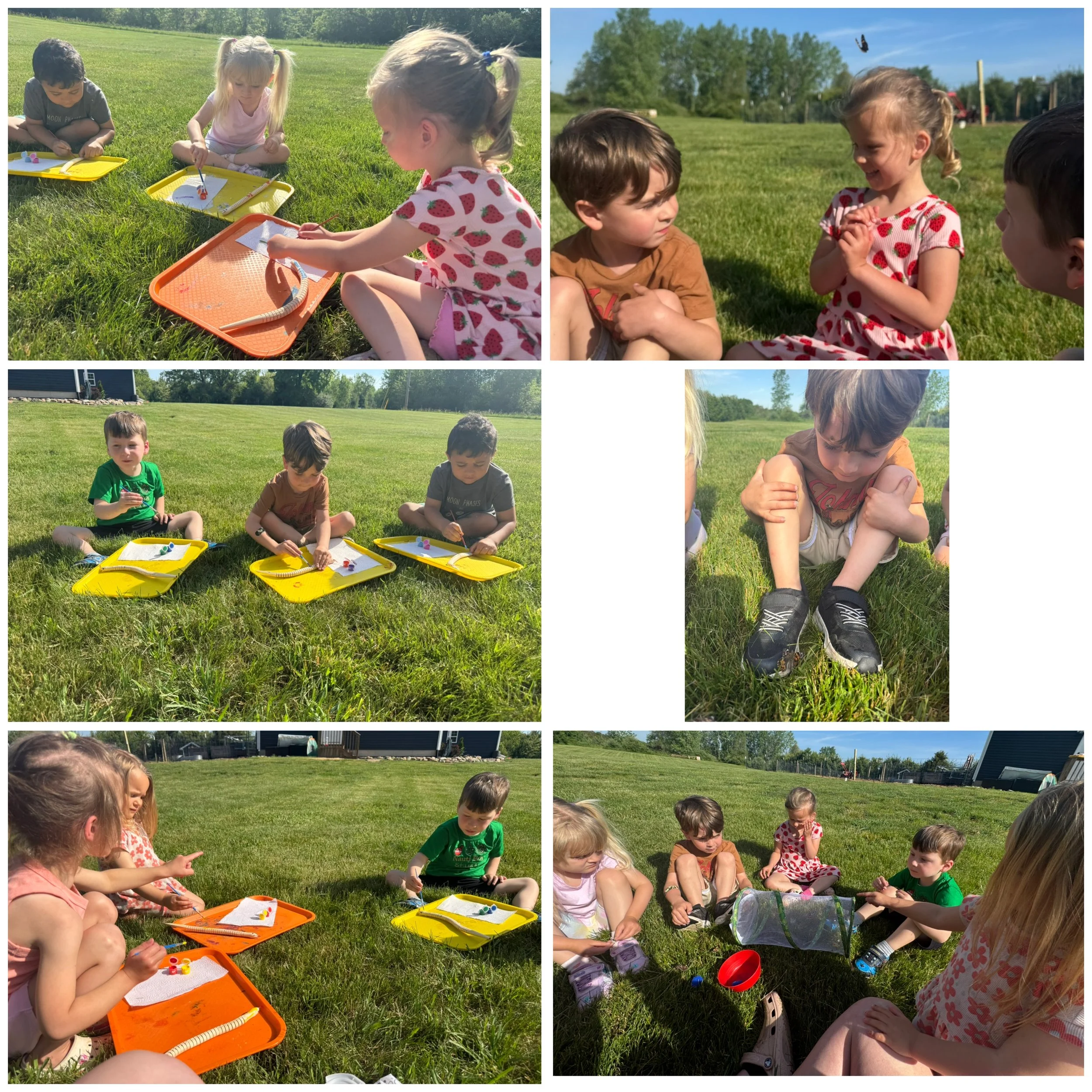 Children sitting on the grass outdoors, engaging in an activity with small items and trays, with some children looking at each other and talking, under a sunny sky surrounded by green trees and open space.
