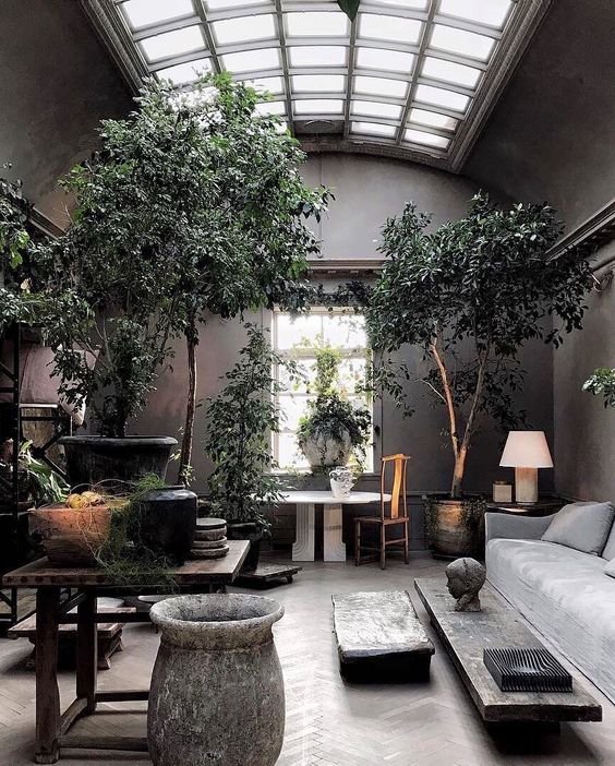 PLANTS: THE POP OF COLOUR WE ALL NEED IN OUR HOME