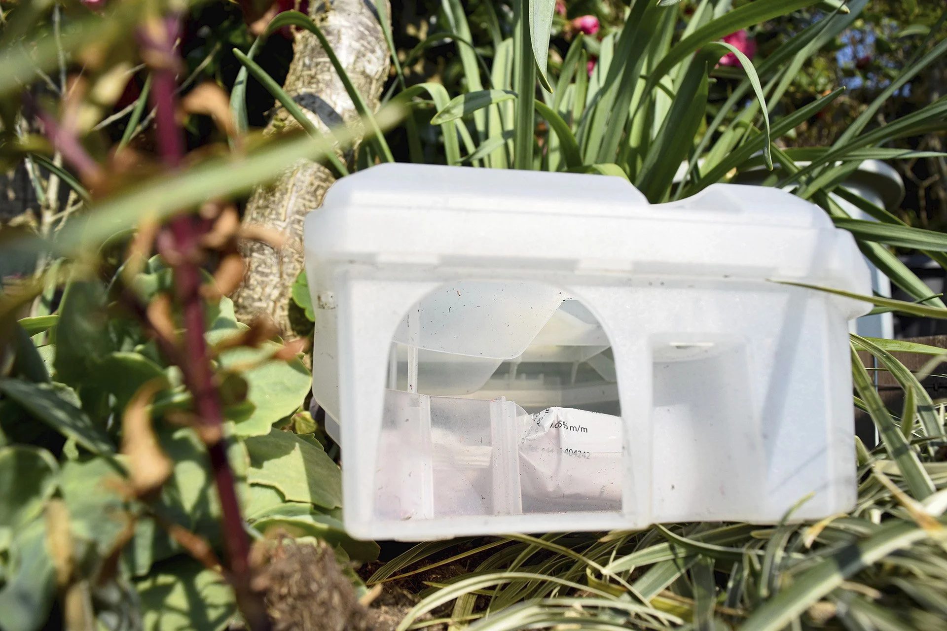 9_DangerLiesWithin copy.jpg