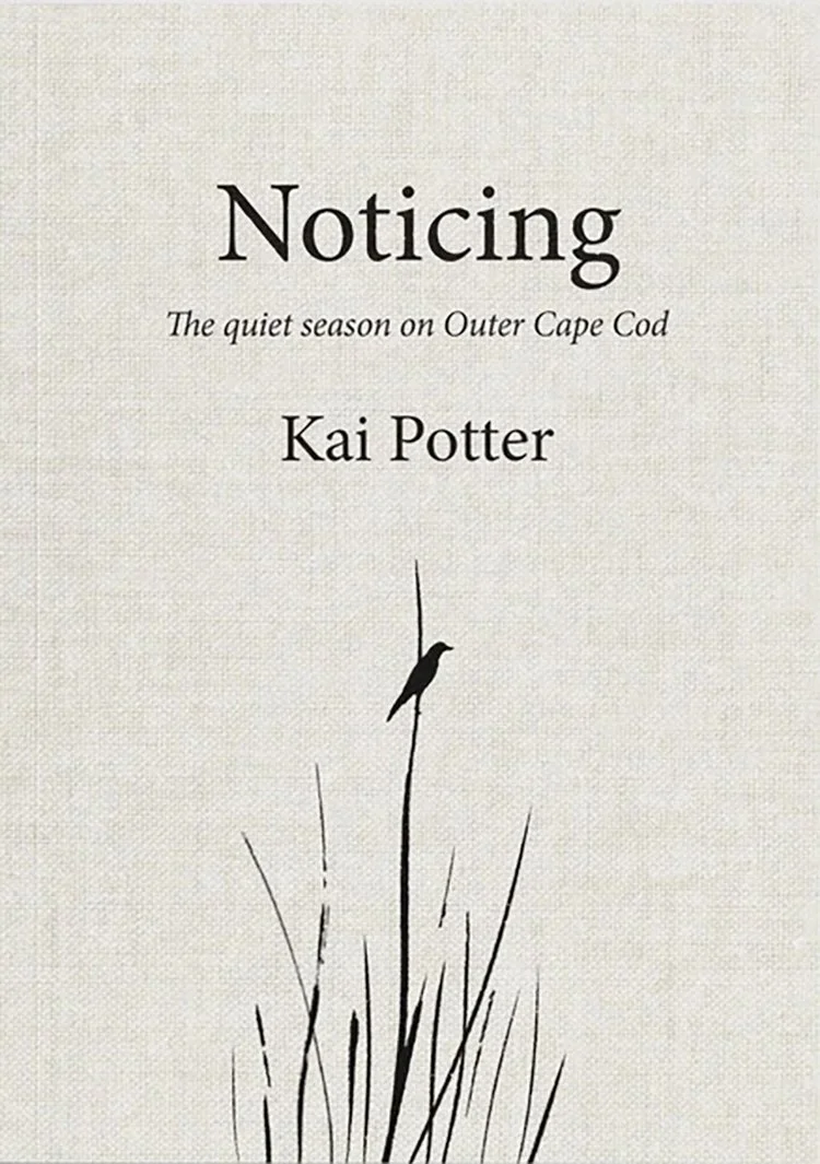 Winter Reading Series: Noticing with Kai Potter