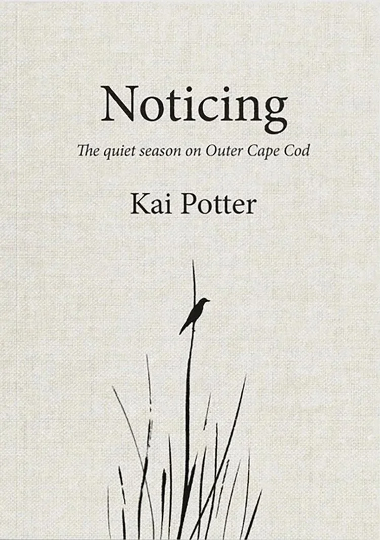 Kai-noticiing.jpg