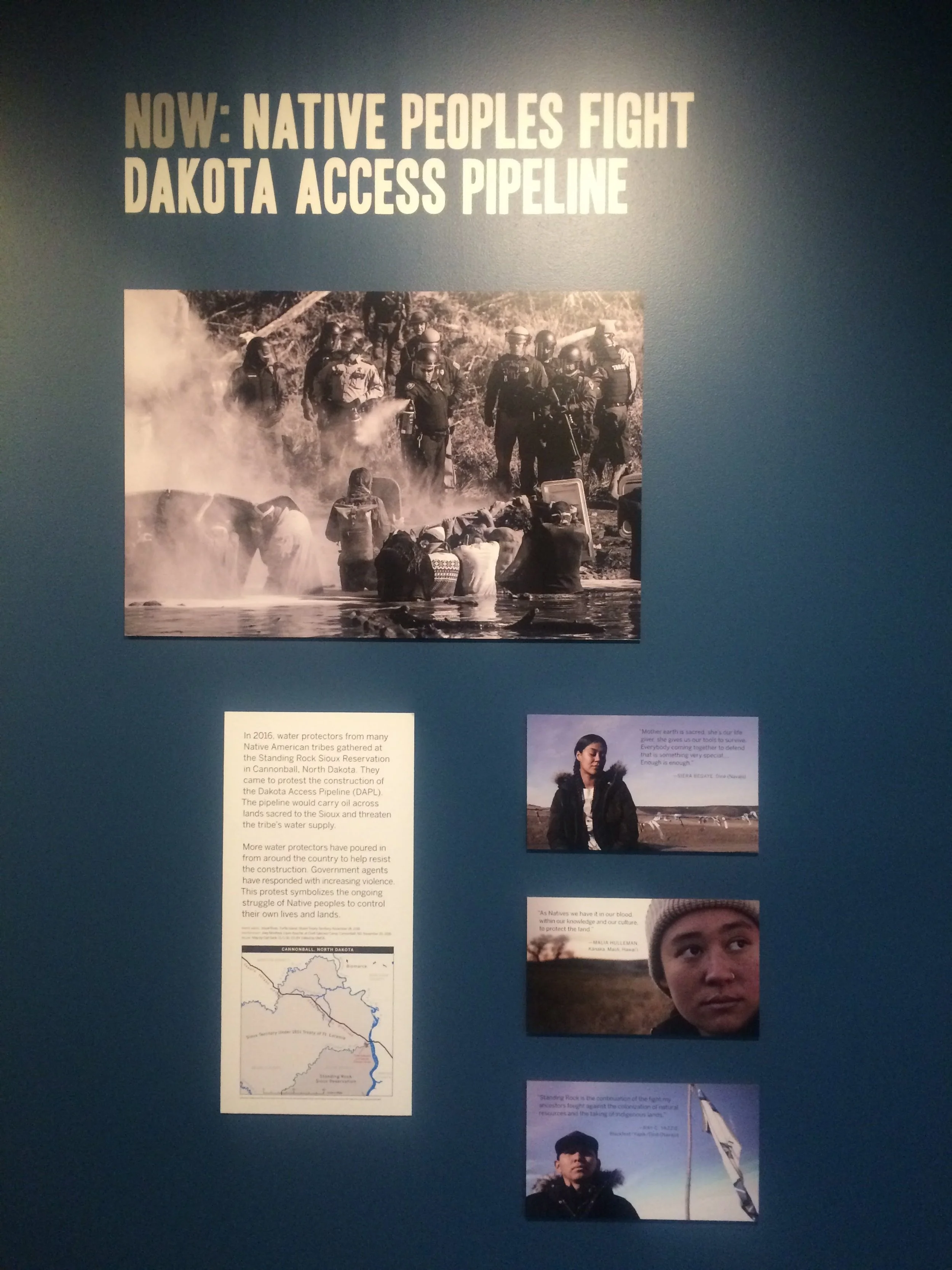 NOW-DAPL.JPG