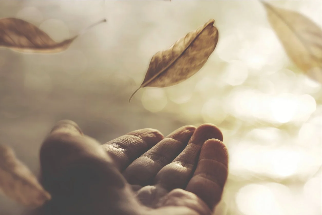 Letting Go of Conditioned Beliefs: Embracing the New