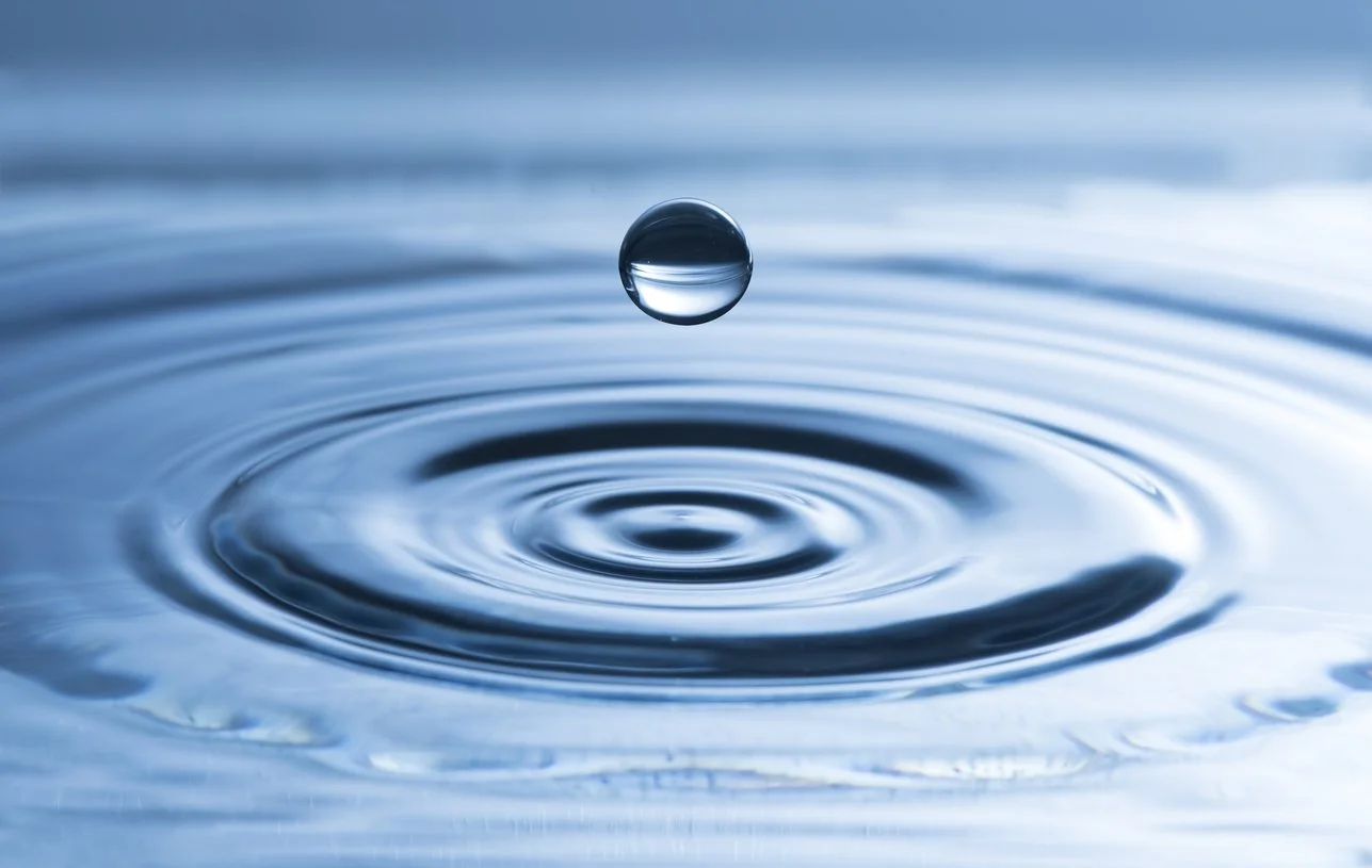 Water Consciousness: The Memory &amp; Mystery Within