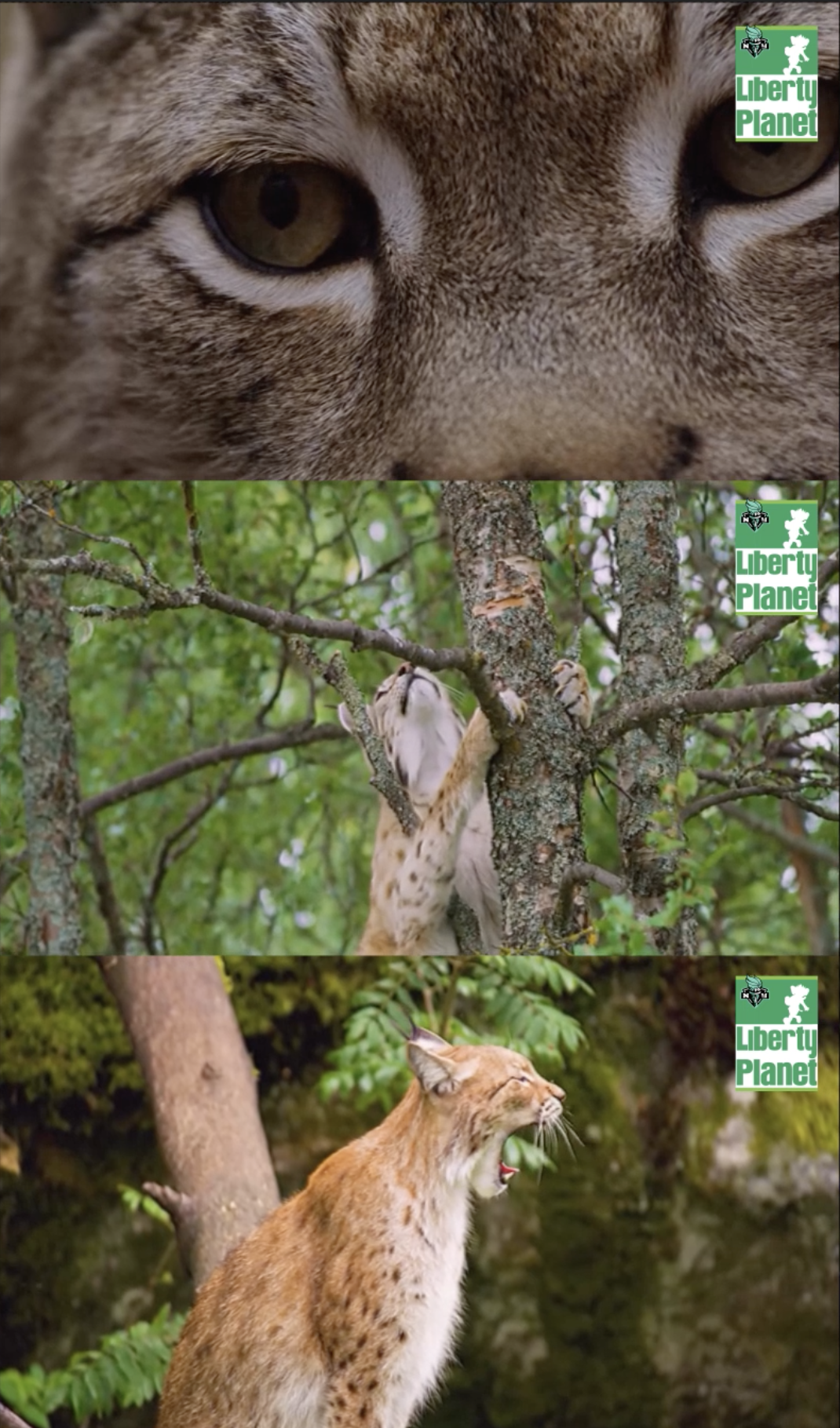 Screenshot 2026-01-29 at 6.19.45 PM.png