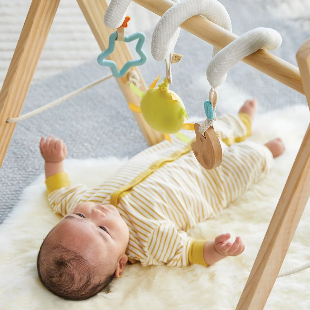 Pandaa_baby-with-hanging-toys-2jpg.jpg