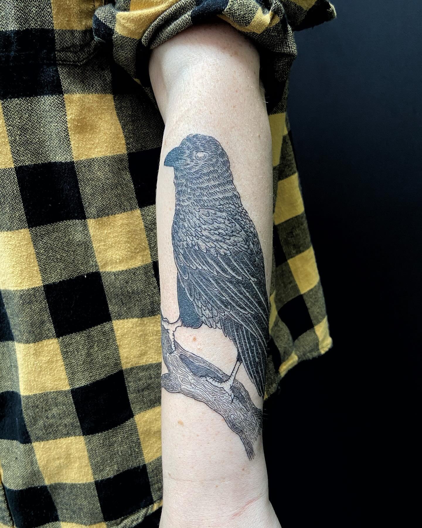 raven boi for my amazing client, Fox! thanks so much for your continued trust and excellent company 🖤🐦&zwj;⬛
.
.
.
.
.
.
.
.
#blkttt #blackandgreytattoo #boldtattoo #raventattoo #crowtattoo #bayareatattoo