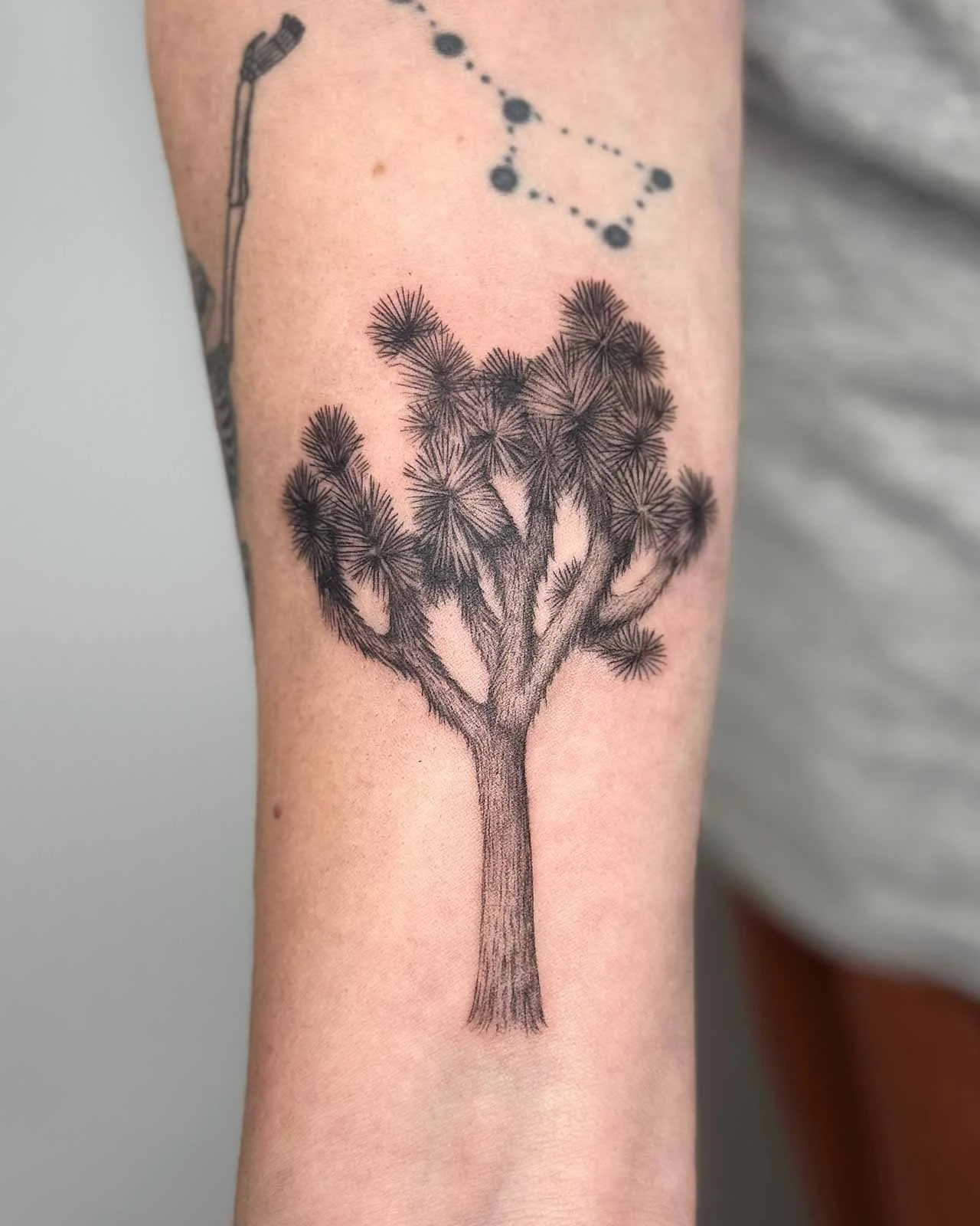 Whiskie - Lea - Tattoo Microrealism - joshua tree tattoo national park - 02.jpg