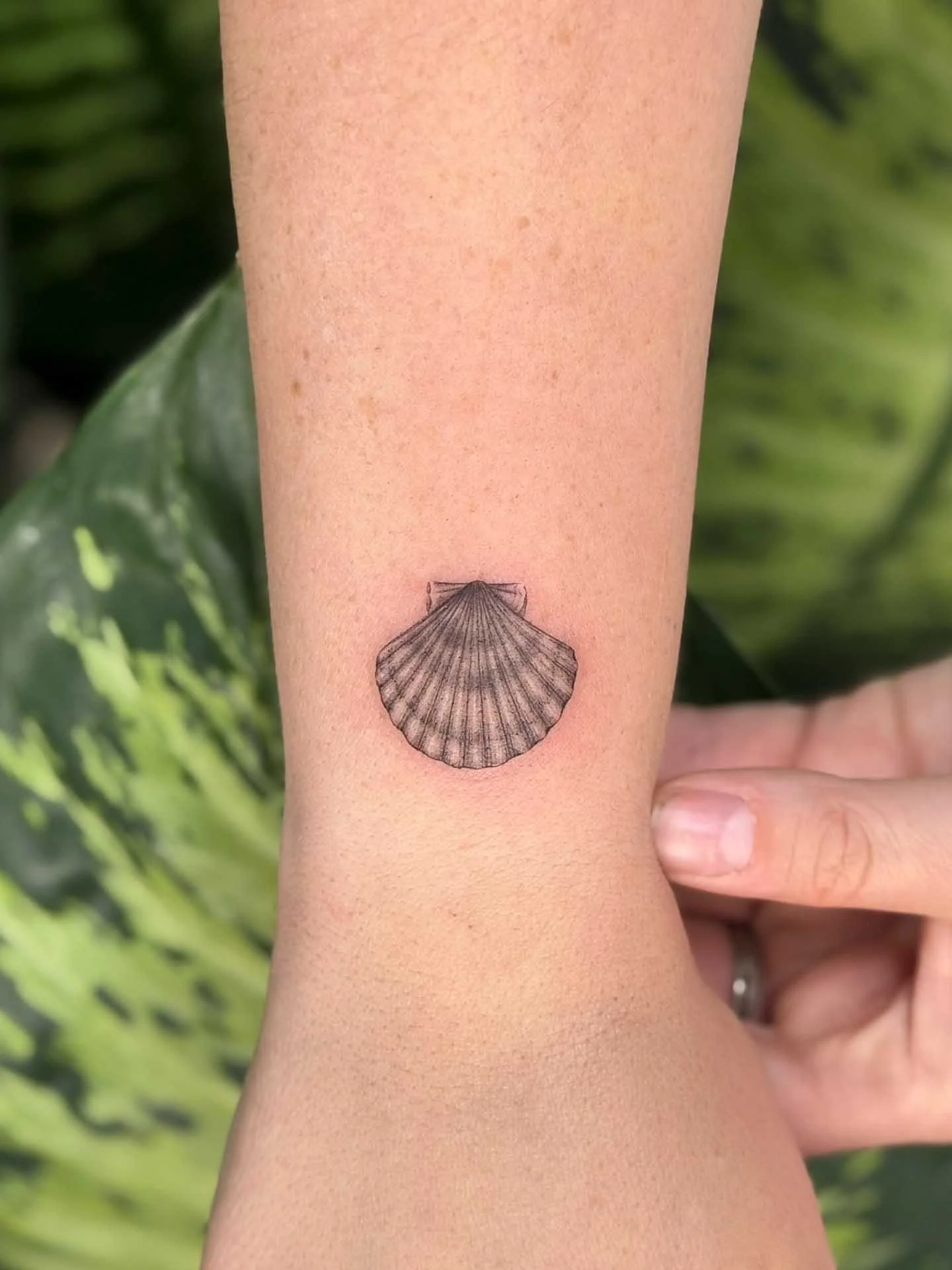 Microrealism tattoos by Whiskietattoos_Dark Water_Bay Area Illustrative and Fine Line Tattoos 2025002.jpg