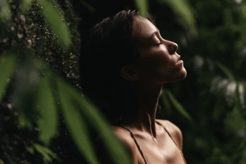 Healing Sexual Trauma Through Somatic Therapy and Creative Expression 