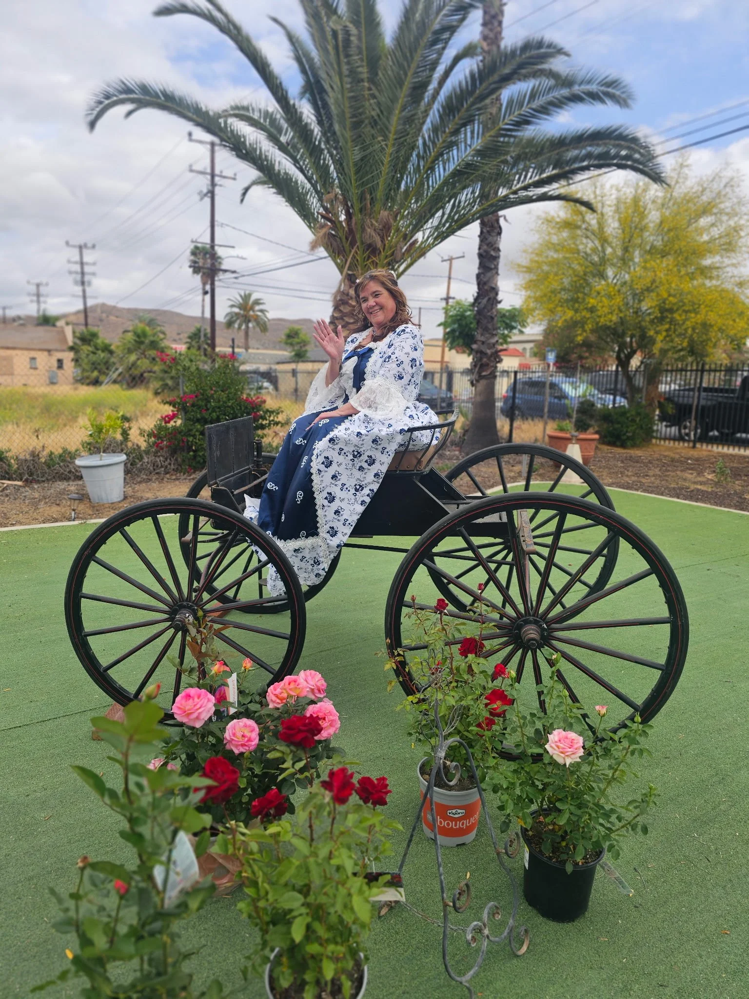 Tina and Carriage.jpeg